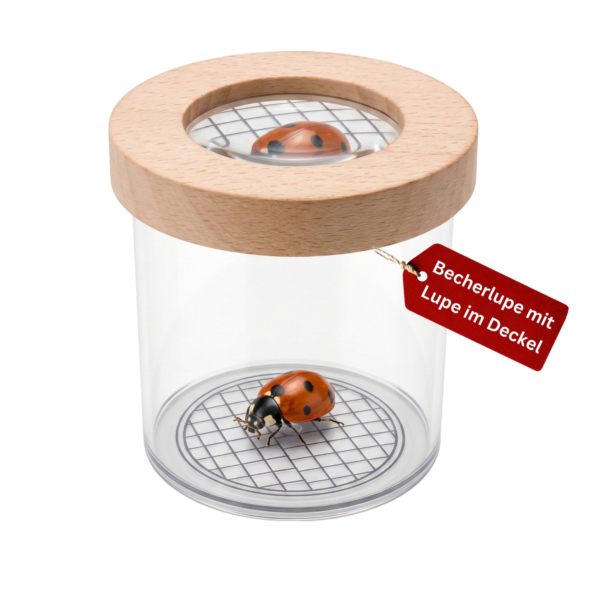Eli Becherlupe für Kinder - Entdecker Set - Naturforscher-Set ab 3 Jahren, - Kinderlupe - Lupenglas Outdoor, Geschenk für Jungen und Mädchen, Beobachtungsbecher für Insekten & Pflanzen