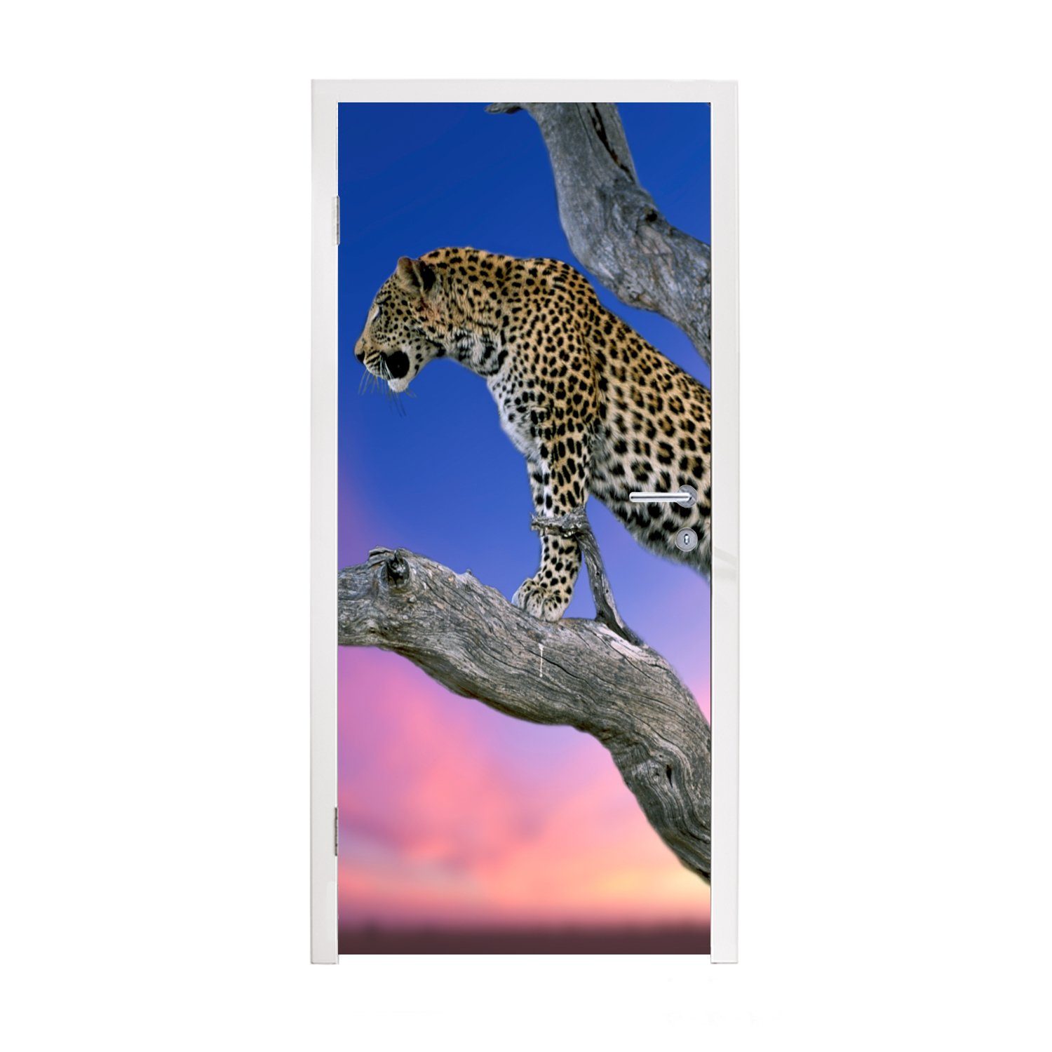 MuchoWow Türtapete Leopard - Baum - Zweig, Matt, bedruckt, (1 St), Fototapete für Tür, Türaufkleber, 75x205 cm