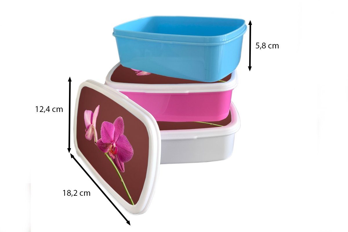 Rosa, Kunststoff, (2-tlg), Kinder MuchoWow weiß Brotbox - Brotdose, - für Orchideen Jungs Mädchen Erwachsene, und für Blumen Lunchbox und