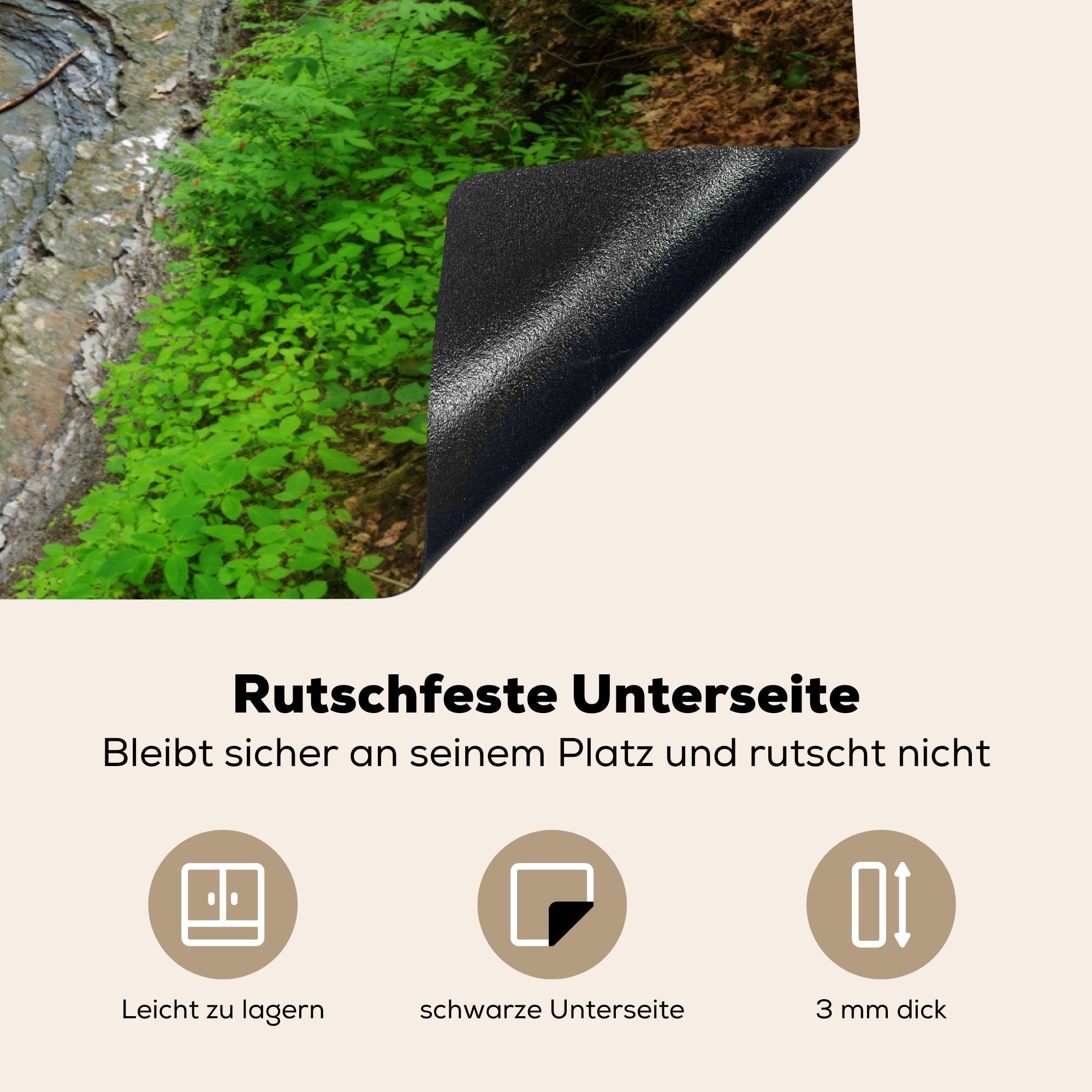 Ceranfeldabdeckung cm, im Bach für von Schutz Induktionskochfeld tlg), Herdblende-/Abdeckplatte 81x52 Vinyl, Fließender (1 Wald MuchoWow die Ohio, küche,