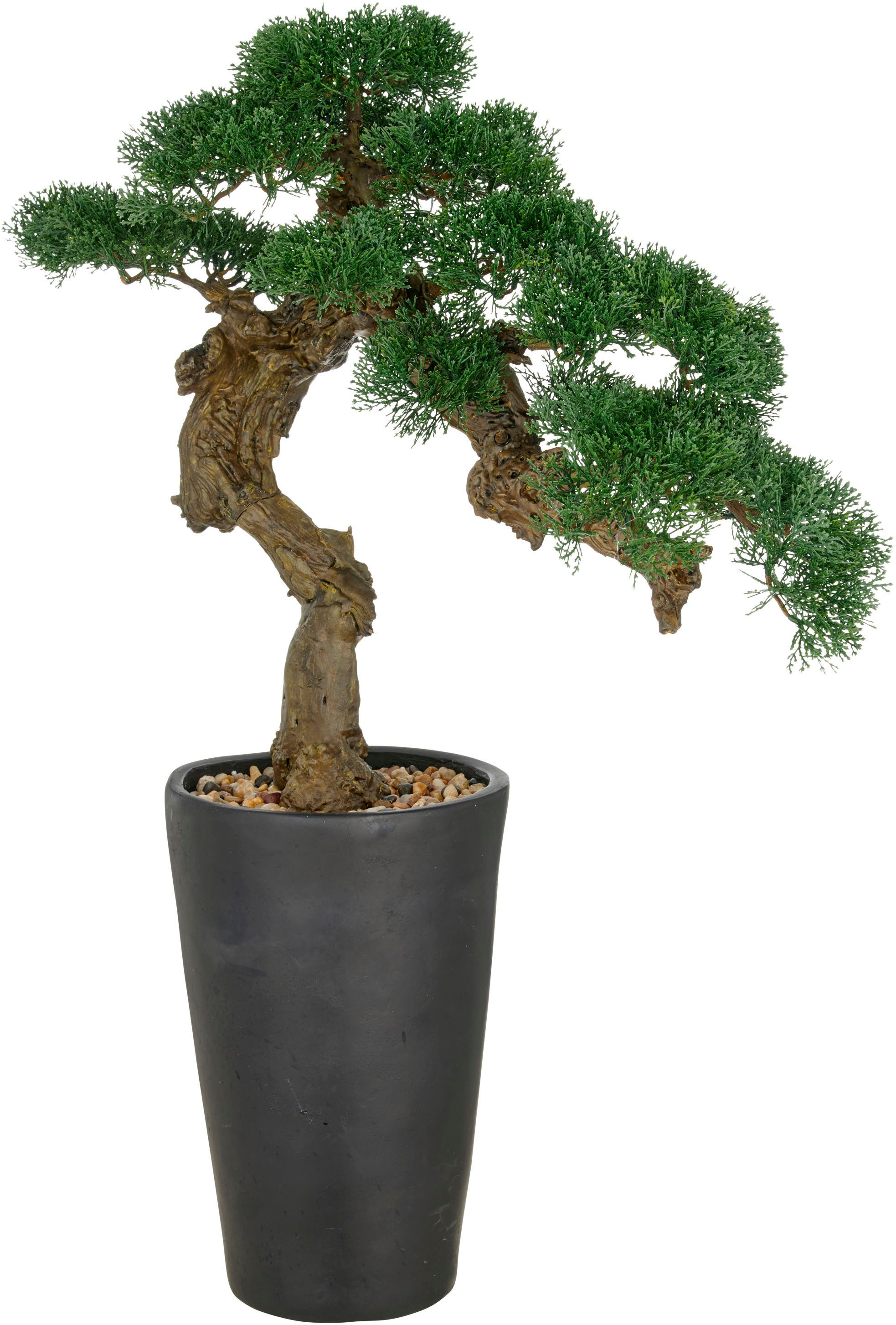 Kunstbonsai Bonsai Zeder, Creativ green, Höhe 80 cm, im besonderen Pflanzgefäß