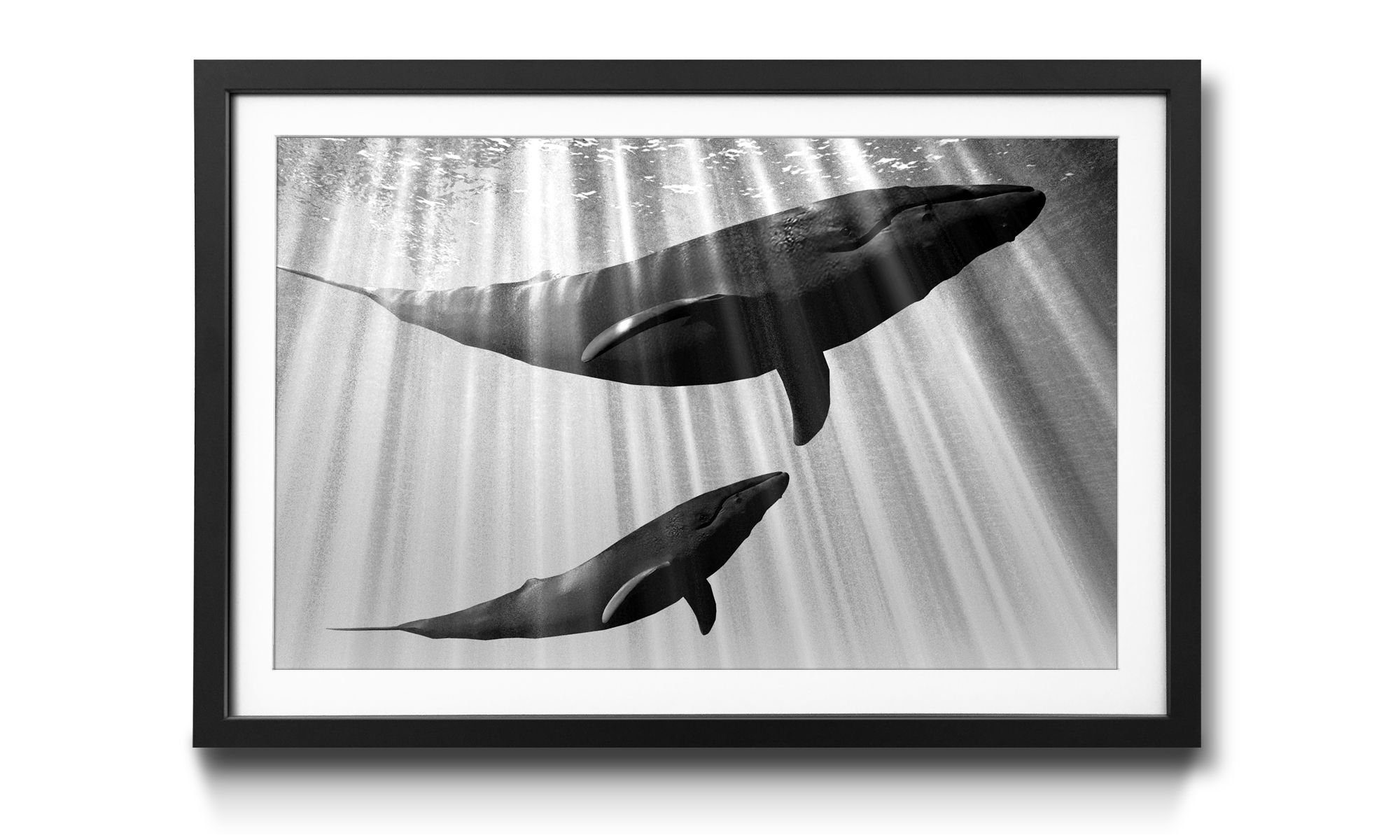 Kunstdruck in Whales, 4 Tiere, erhältlich Größen WandbilderXXL Wandbild,