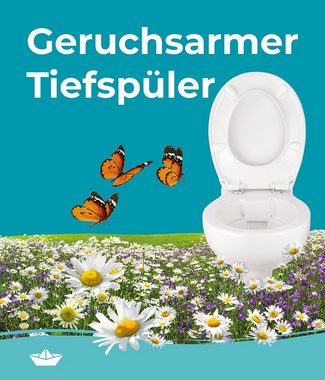 Calmwaters Tiefspül-WC, Wandhängend, Abgang Waagerecht, Wand WC, spülrandlos, Tiefspüler, WC-Sitz mit Absenkautomatik