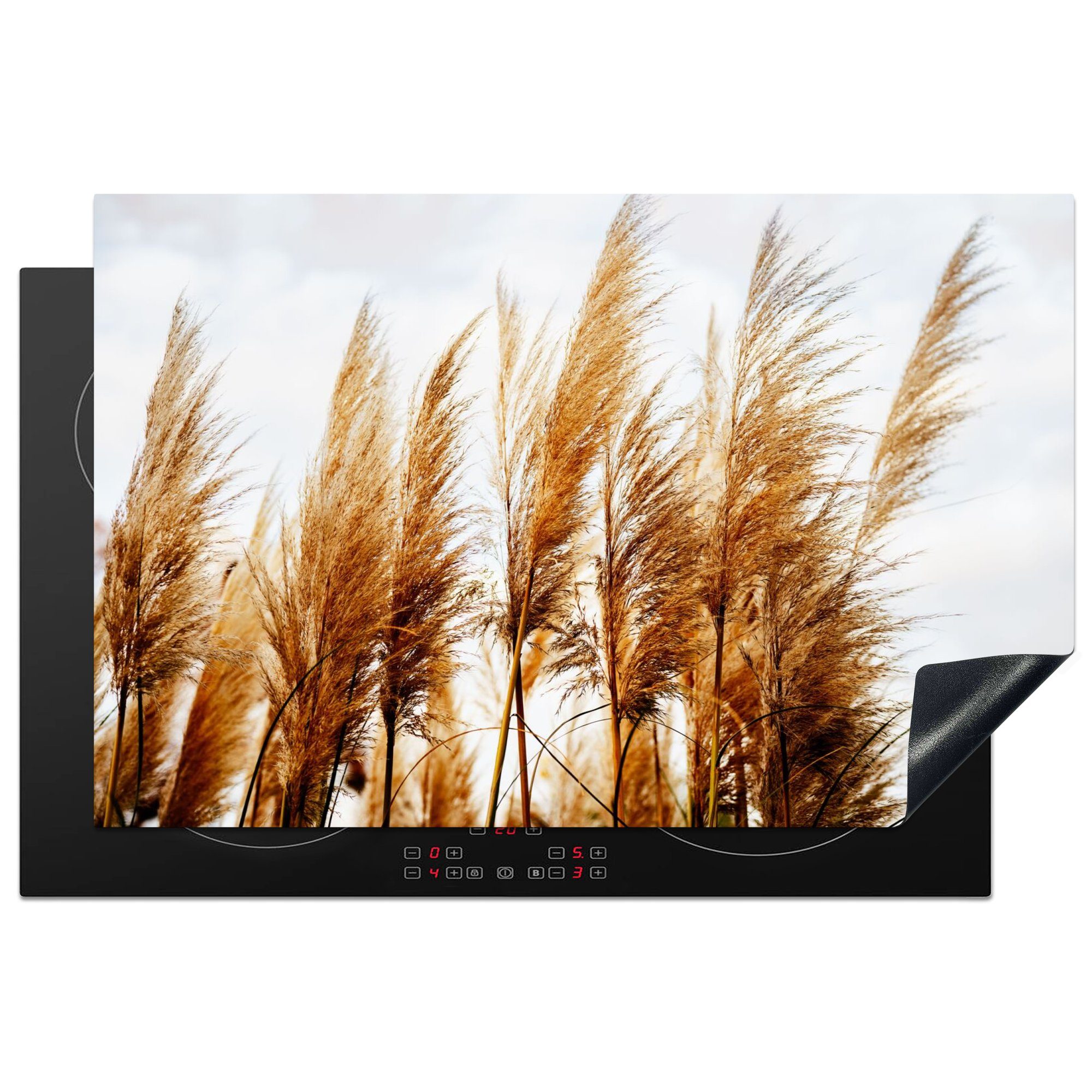 MuchoWow Herdblende-/Abdeckplatte Pampasgras - Sonne - Gras, Vinyl, (1 tlg), 81x52 cm, Ceranfeldabdeckung, Arbeitsplatte für küche