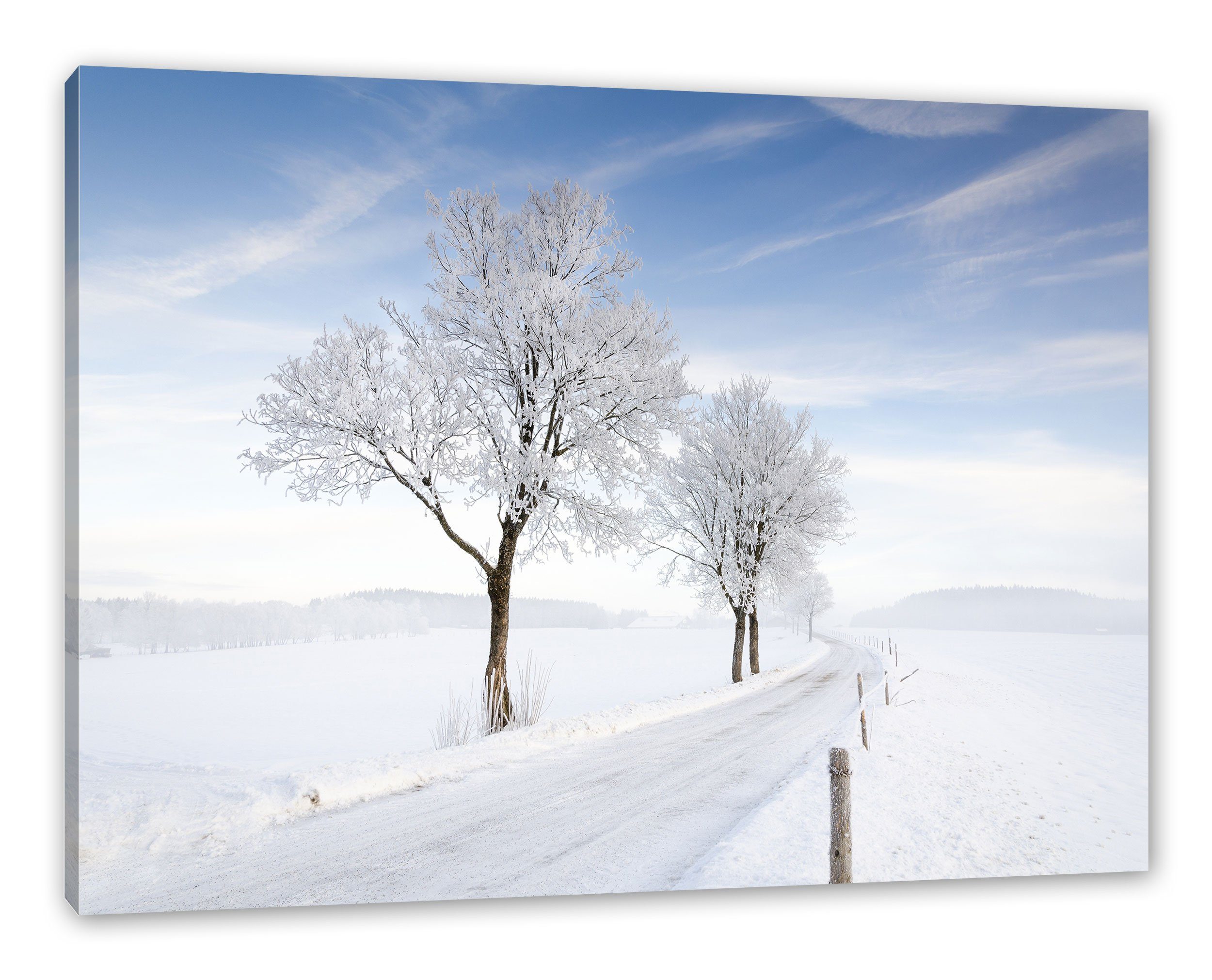 Pixxprint Leinwandbild inkl. Schnee im Zackenaufhänger Baum im St), bespannt, Baum fertig Leinwandbild (1 Schnee