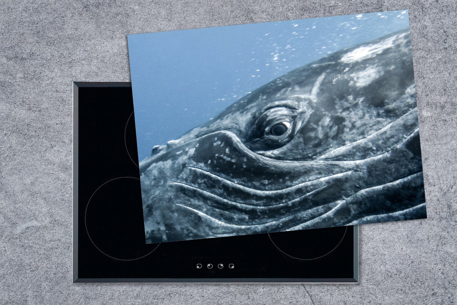 Vinyl, (1 Grau, cm, MuchoWow - Mobile 70x52 - Augen Ceranfeldabdeckung Walfisch Arbeitsfläche Herdblende-/Abdeckplatte nutzbar, tlg),
