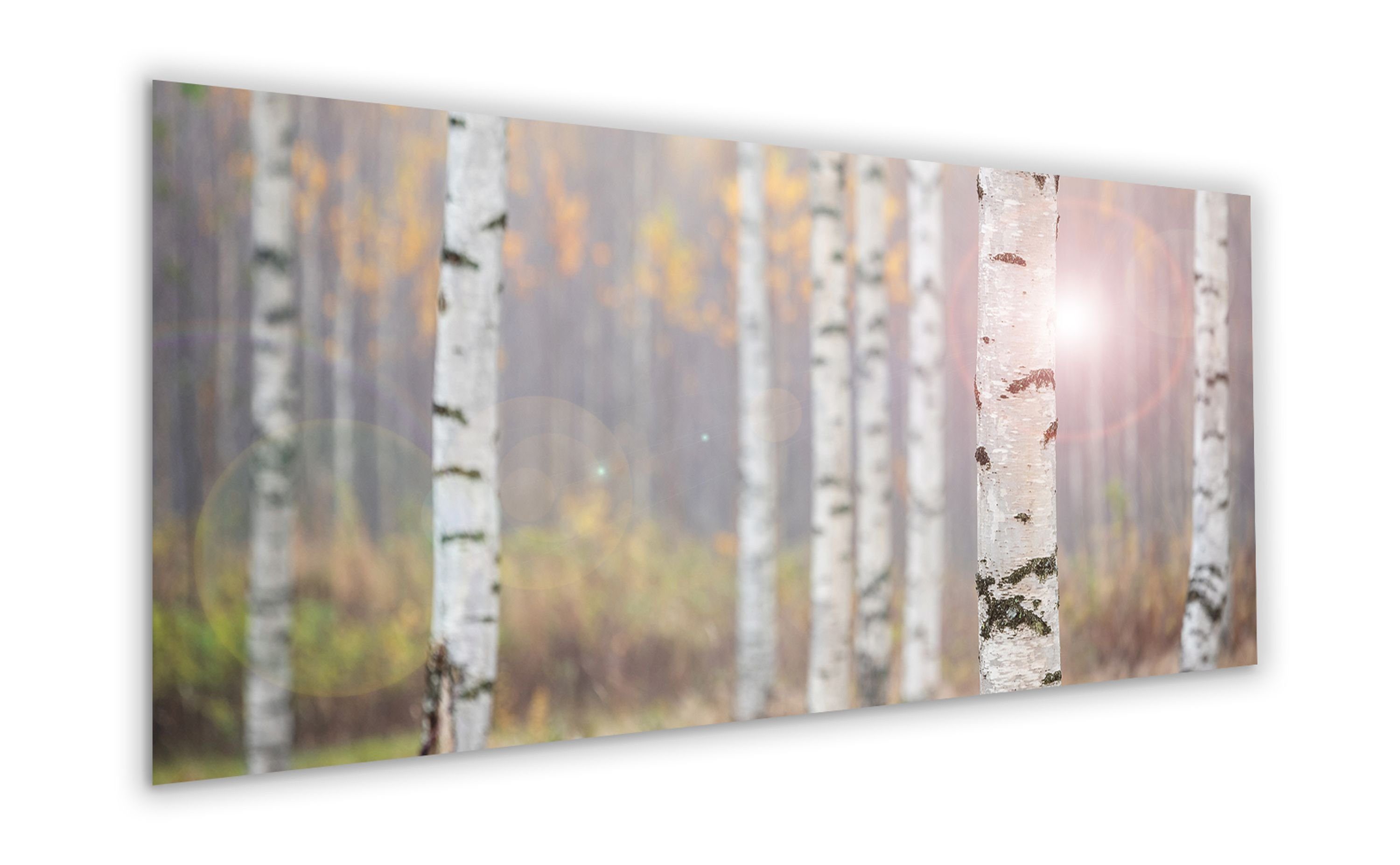 XXL Birken-Wald Glasbild aus Glas cm Bild Wandbild artissimo Glasbild Birkenwald Bäume, groß 125x50 Boho-Style: