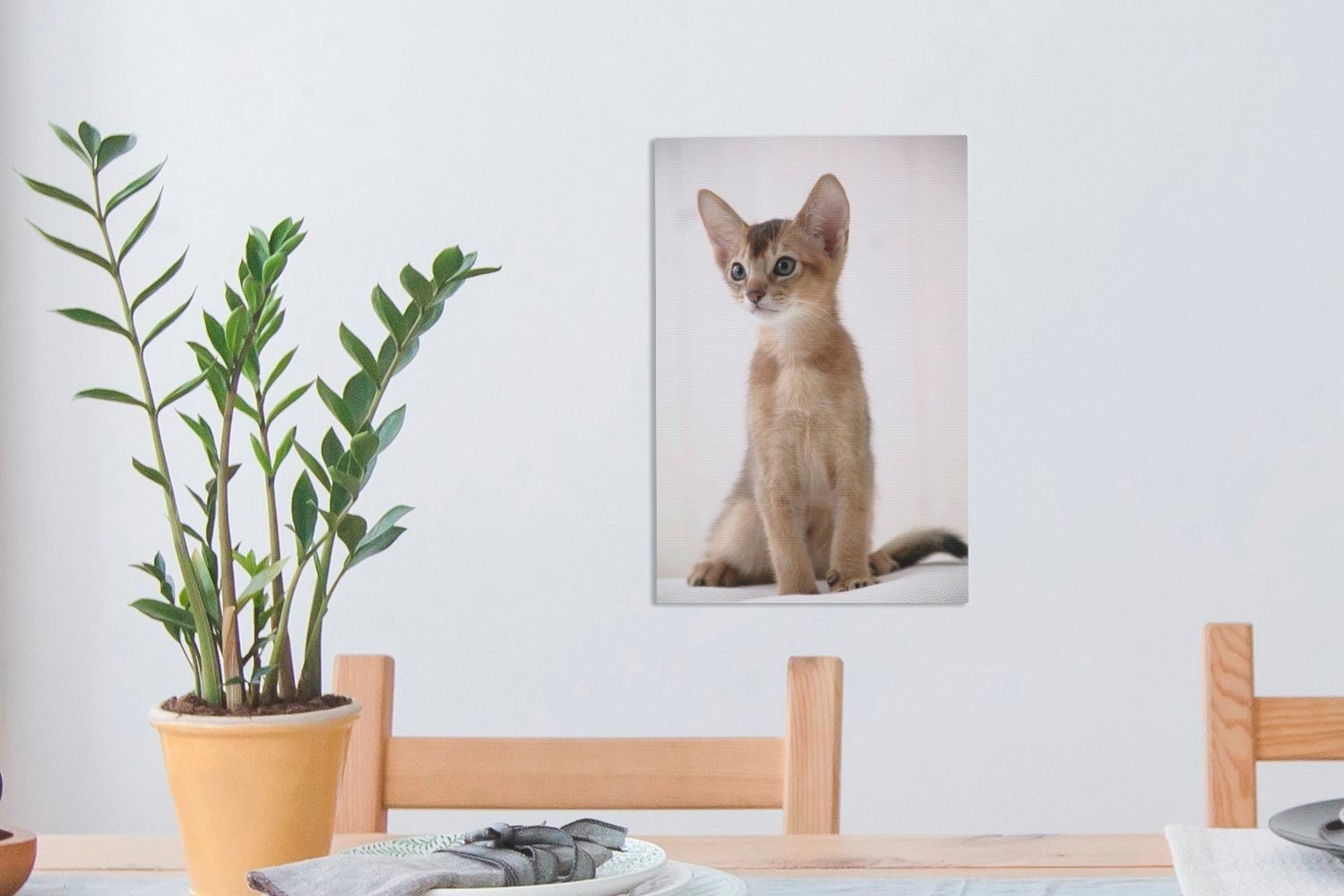 OneMillionCanvasses® Leinwandbild Abessinier-Kätzchen auf weißem (1 Zackenaufhänger, bespannt Gemälde, Leinwandbild 20x30 Hintergrund, St), inkl. fertig cm