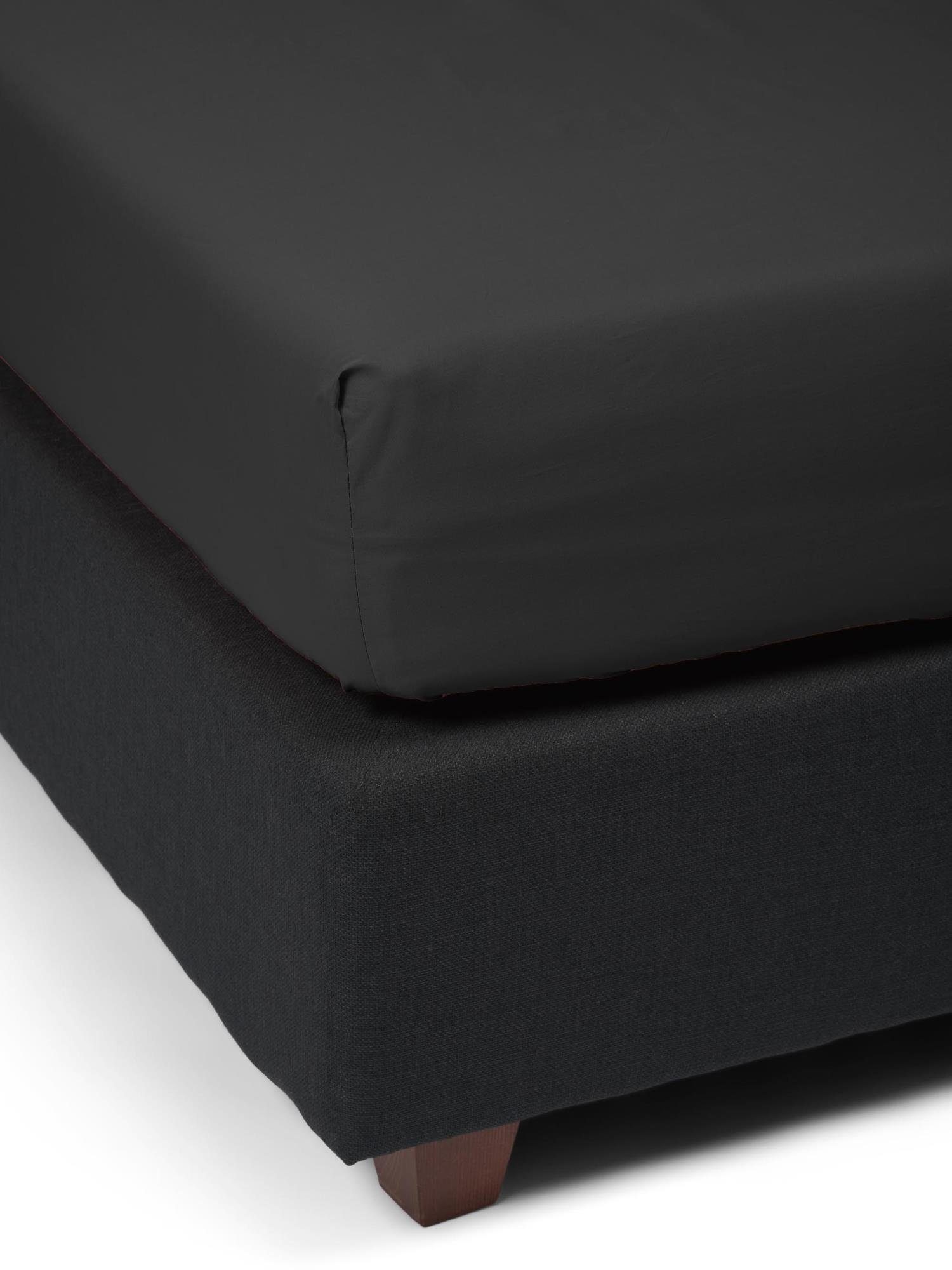 Essenza Spannbettlaken Premium Percale, Perkal, Gummizug: rundum, (1 Stück), Uni Baumwollperkal