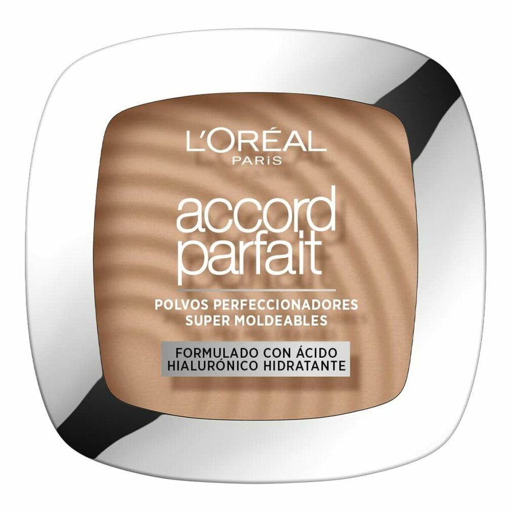 L'Oreal Deutschland Puder LOreal Professionnel ACCORD PARFAIT polvo fundente hyaluronic 9 gr