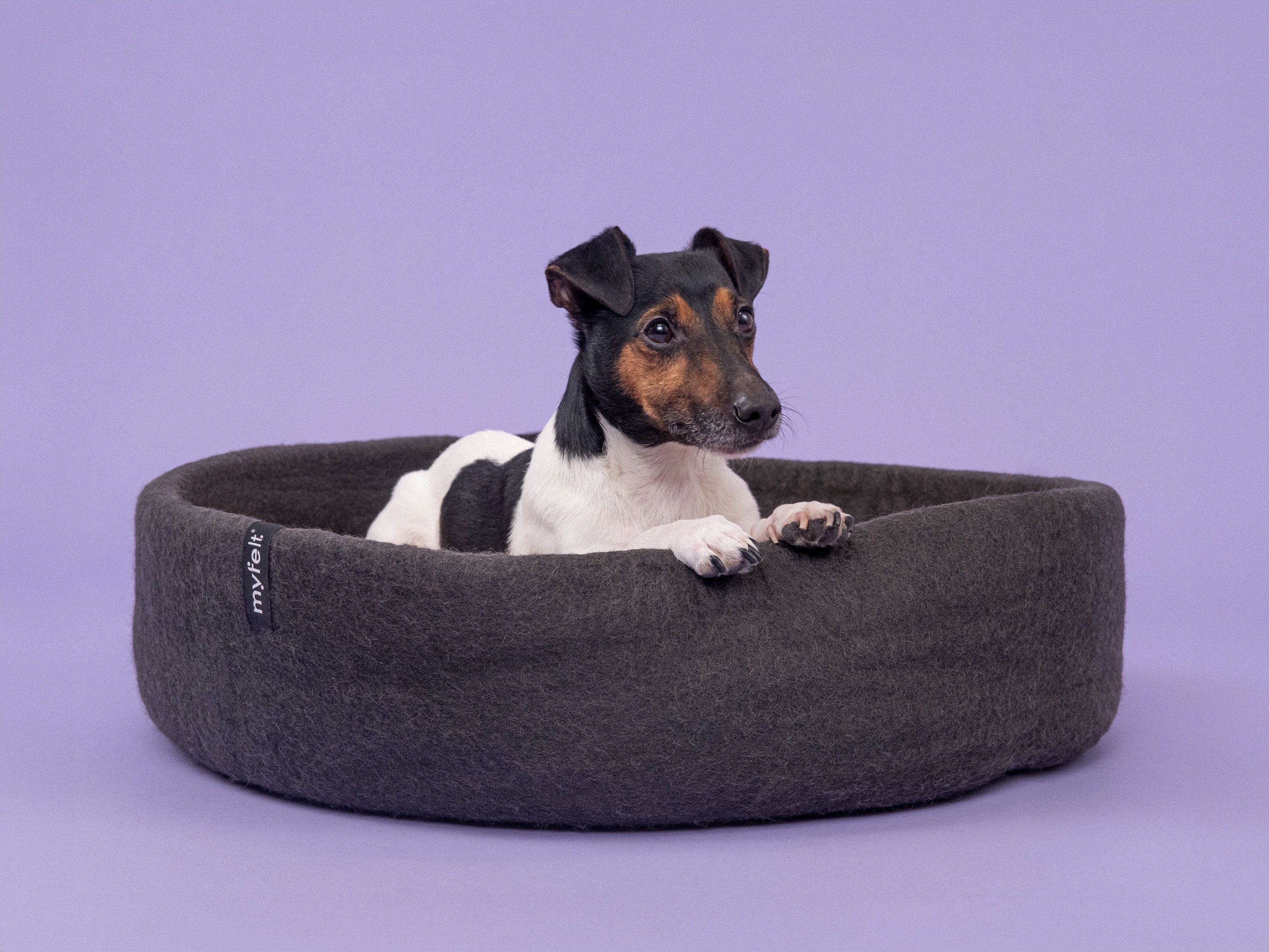 myfelt Tierkorb Filz Hundekorb mit Inlay, aus 100% reiner Schurwolle, antibakteriell und schmutzabweisend, natürlich und ökologisch