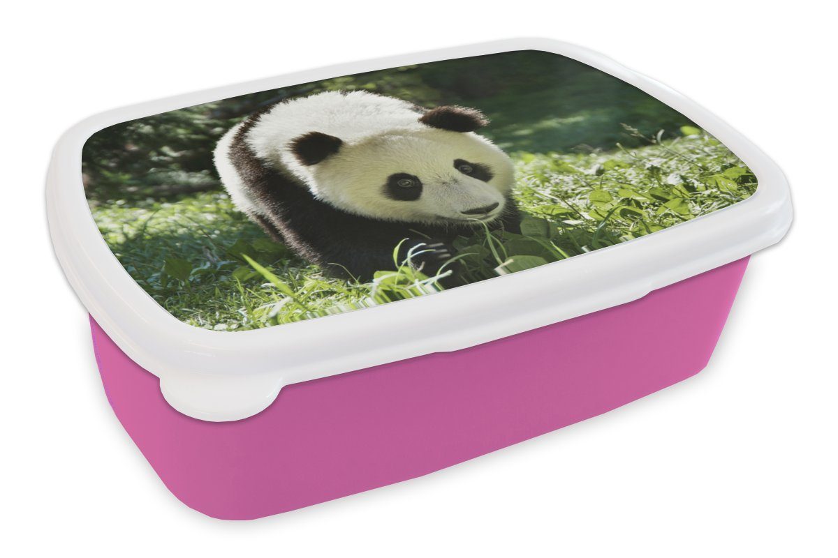 MuchoWow Lunchbox Panda - Gras - Tier, Kunststoff, (2-tlg), Brotbox für Erwachsene, Brotdose Kinder, Snackbox, Mädchen, Kunststoff rosa