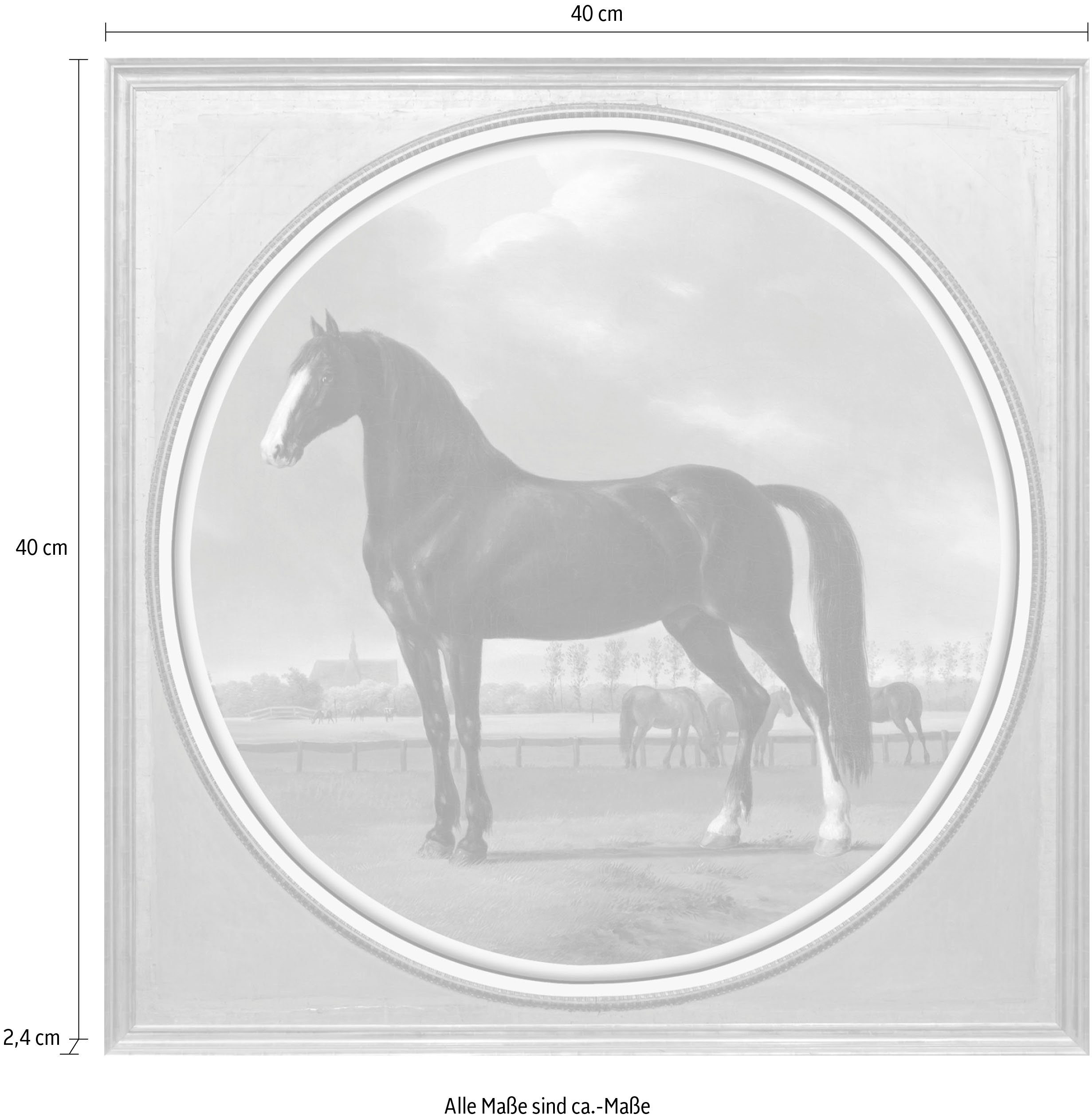 Acrylglasbild Pferd queence