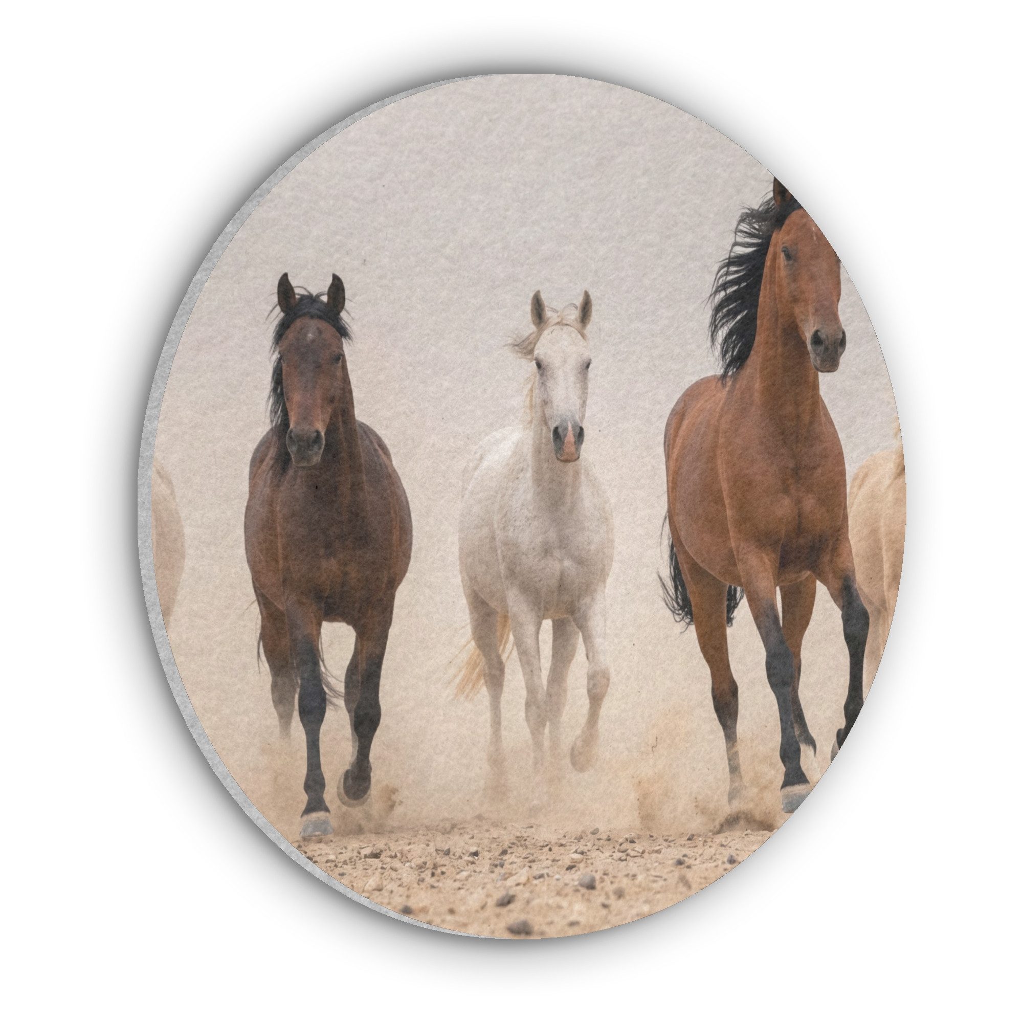 MuchoWow Gemälde Pferdeherde - Staubwolke - Braun - Schwarz, Fotodruck (1 St), Akustikpaneele rund, Schalldämmung, Akustikbilder 30x30 cm