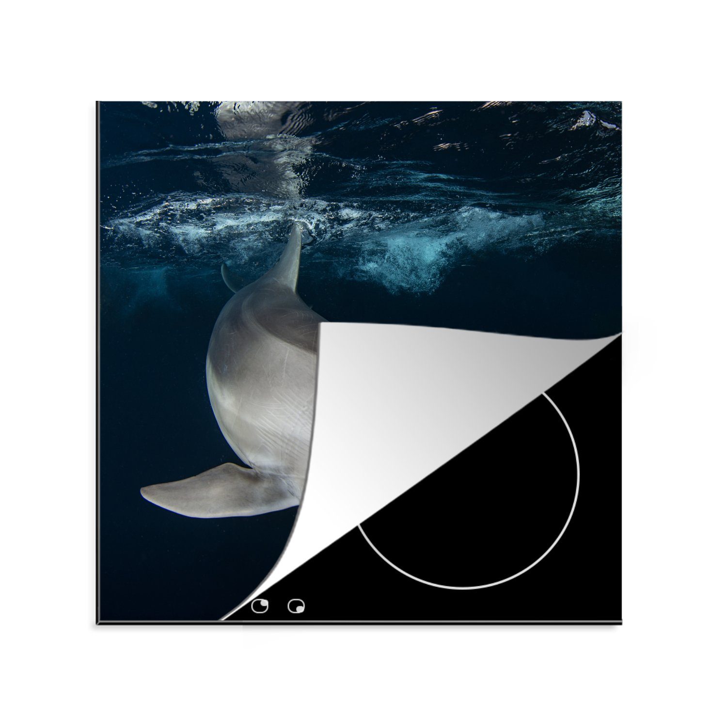 MuchoWow Herdblende-/Abdeckplatte Delfin - Wasser, Vinyl, (1 tlg), 78x78 cm, Ceranfeldabdeckung, Arbeitsplatte für küche | Herdabdeckplatten