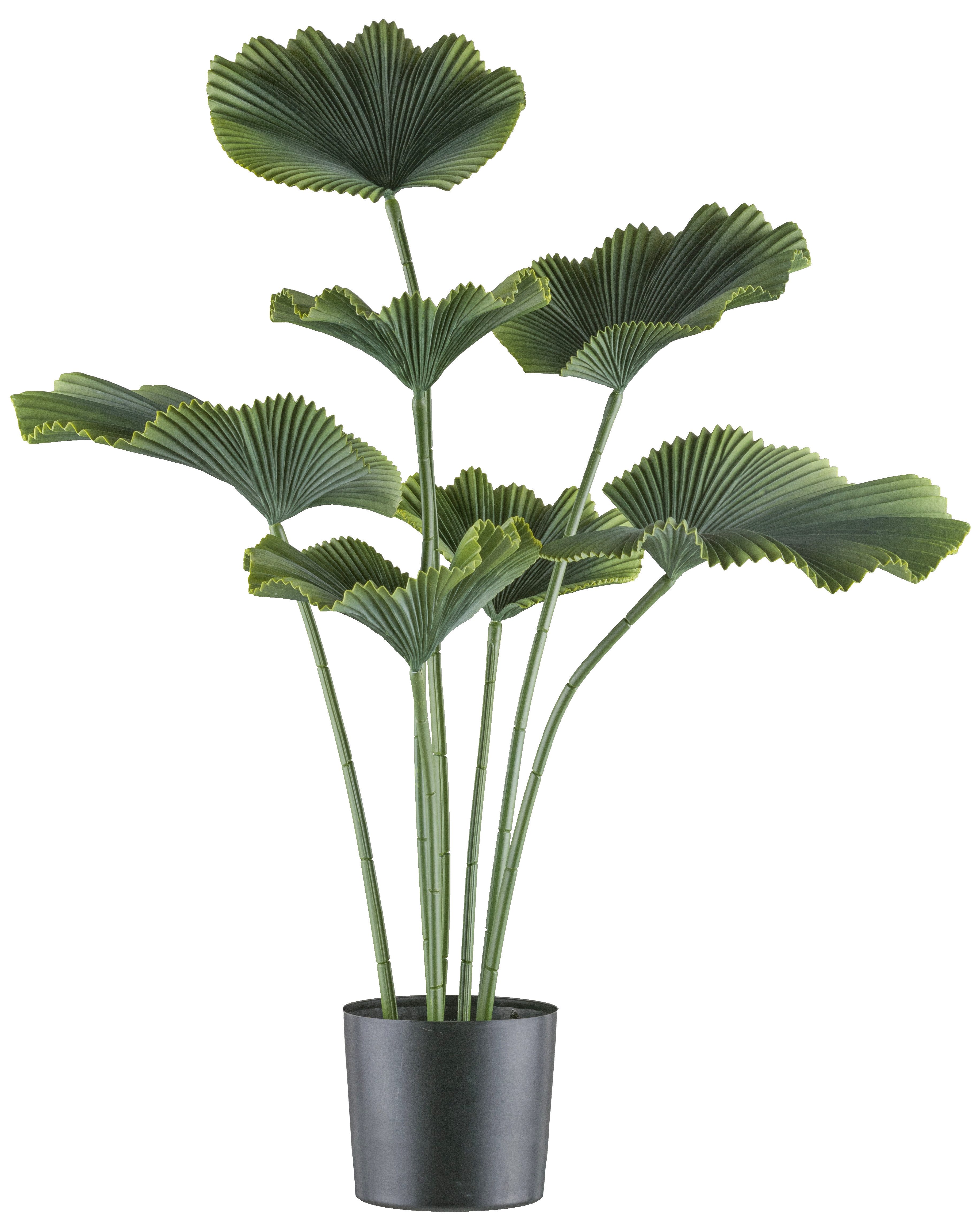Kunstpflanze Strahlenpalme 100 cm gross im schwarzen Kunststofftopf 19,5 x 17,5 cm