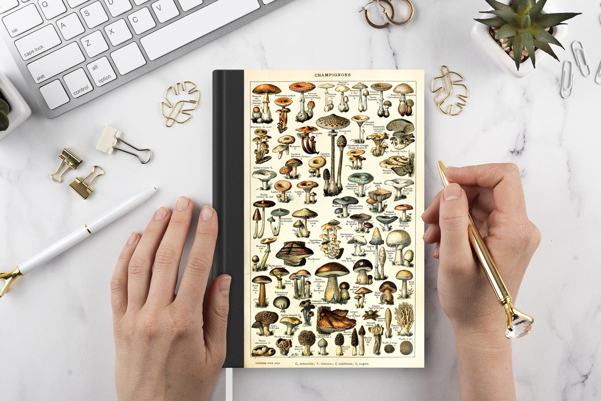 98 Journal, Notizbuch - Seiten, Jahreszeiten Natur, - Herbst Vintage Tagebuch, MuchoWow Adolphe Notizheft, - A5, - Haushaltsbuch - Pilz Merkzettel, Millot