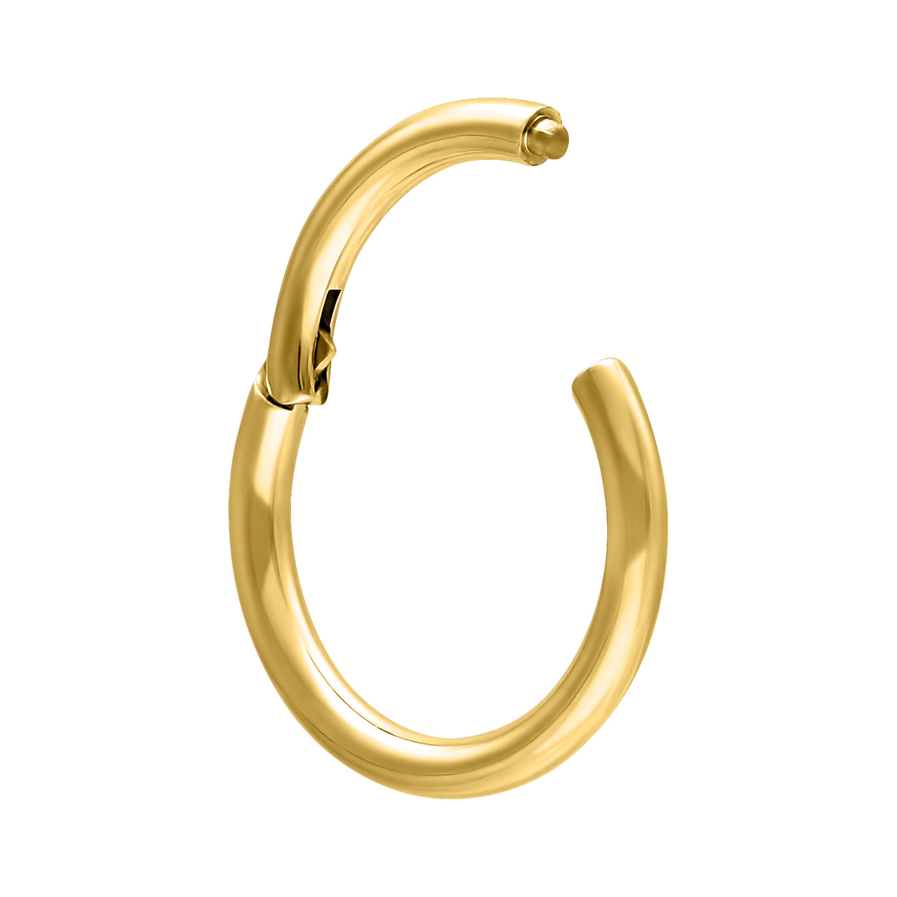 Wildcat Nasenpiercing Hinged Ring für Ohr, Nase, Lippe, Bauchnabel, 1 Stück, Titan Grad 23 - wasserfest, hautverträglich, Gold