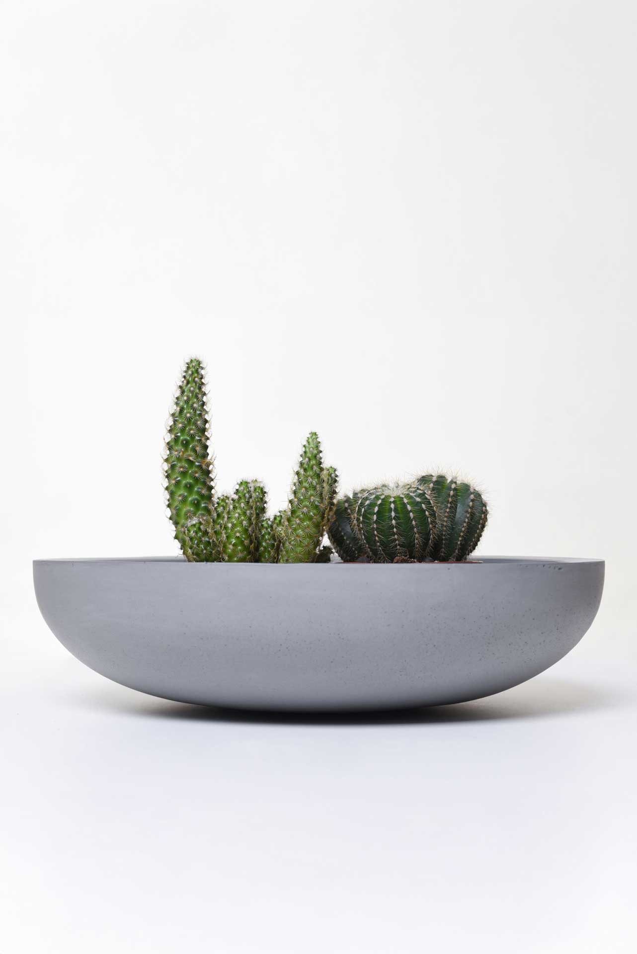 VIVANNO Pflanzschale Fiberglas PLANA Schale - Betongrau Beton-Design (1 St) günstig online kaufen