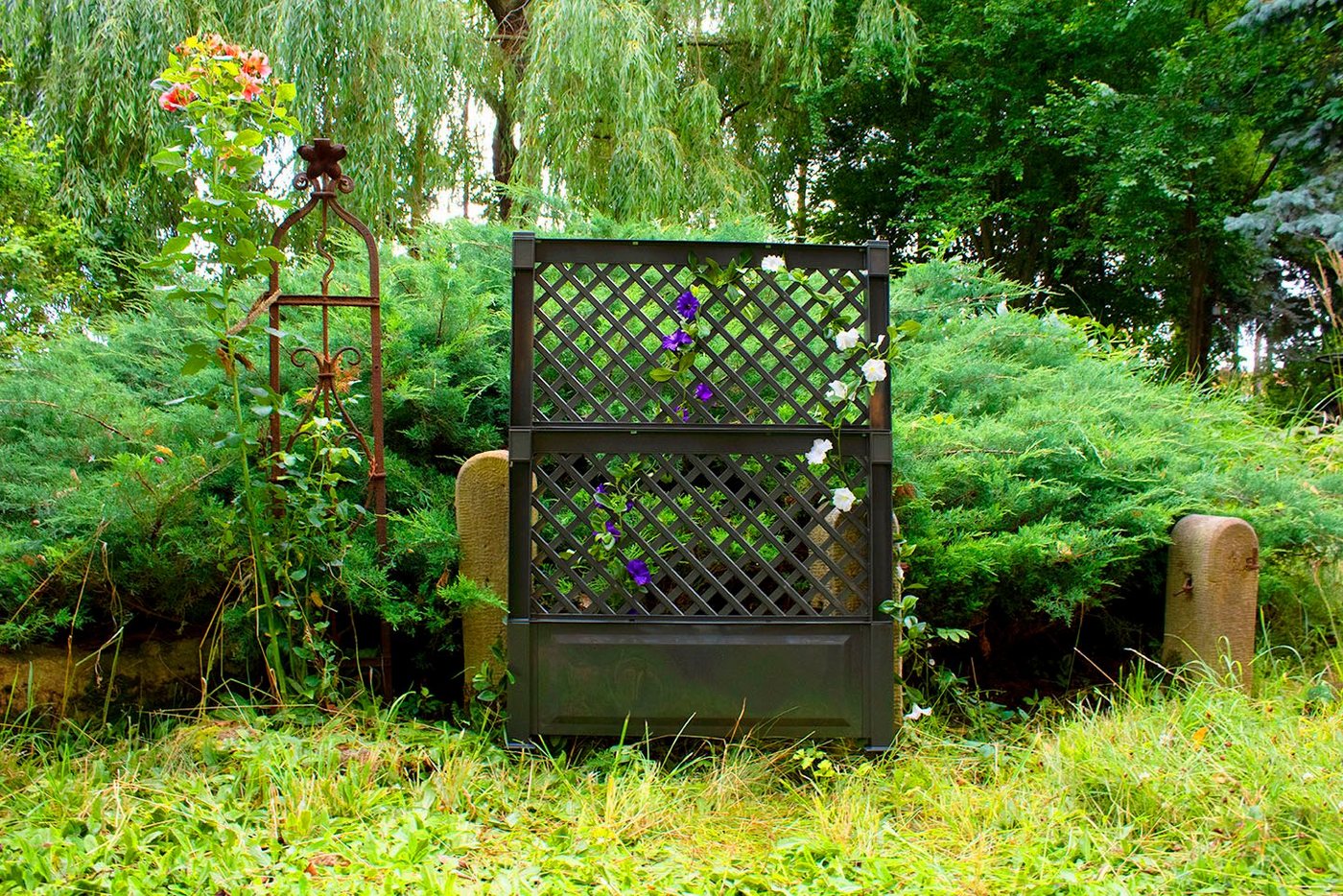 Thumbnail - KHW Spalier, mit Erdspießen, BxTxH: 100x6x140 cm