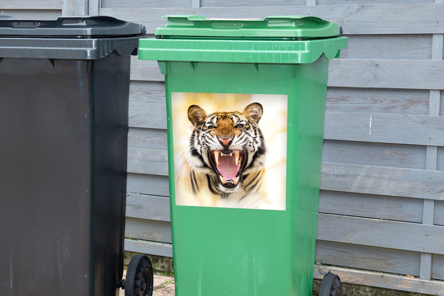 Mülltonne, - Abfalbehälter St), (1 Raubtiere Wandsticker Sticker, Container, - MuchoWow Zähne Mülleimer-aufkleber, Tiger
