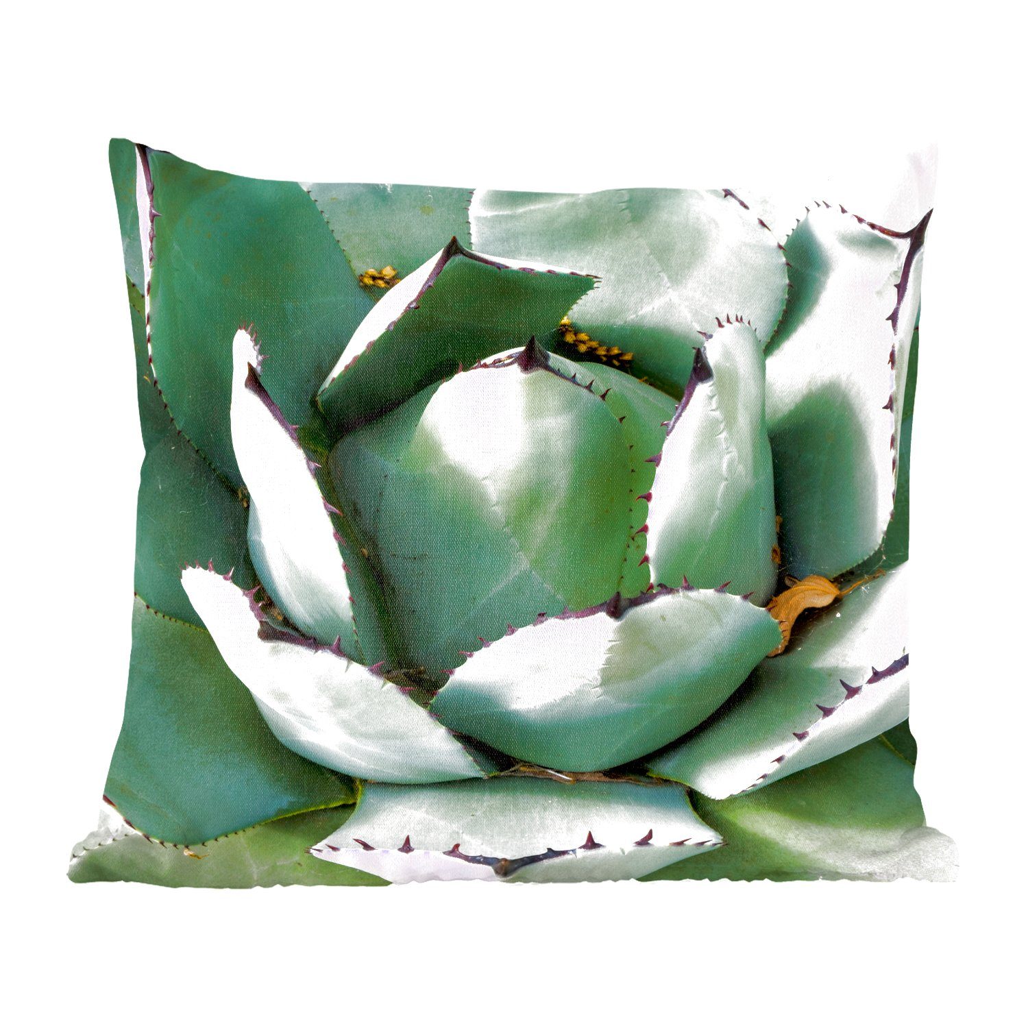 MuchoWow Dekokissen Detail eines mintgrünen Kaktus, Zierkissen mit Füllung für Wohzimmer, Schlafzimmer, Deko, Sofakissen | Dekokissen