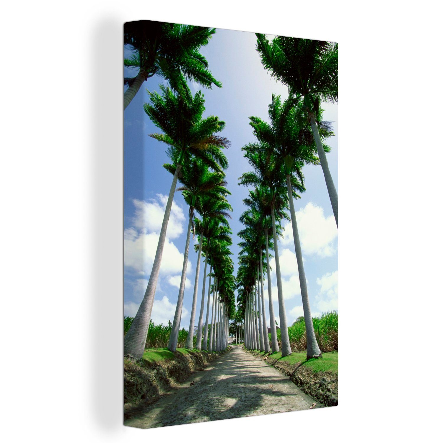 OneMillionCanvasses® Leinwandbild Die Schatten auf der Straße durch eine Reihe von Palmen, (1 St), Leinwandbild fertig bespannt inkl. Zackenaufhänger, Gemälde, 20x30 cm