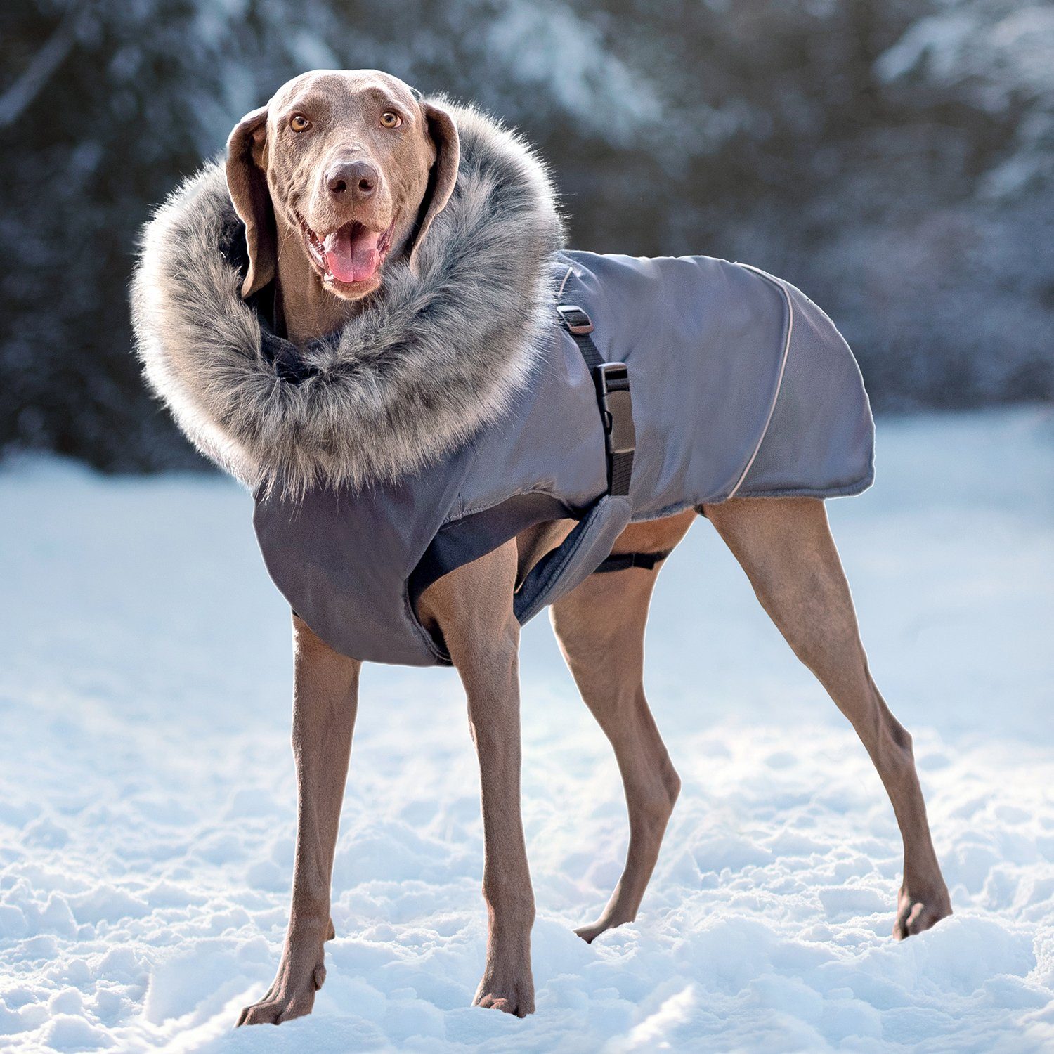 Baddery Hundewarnweste Reflektierende Warnweste für Hunde