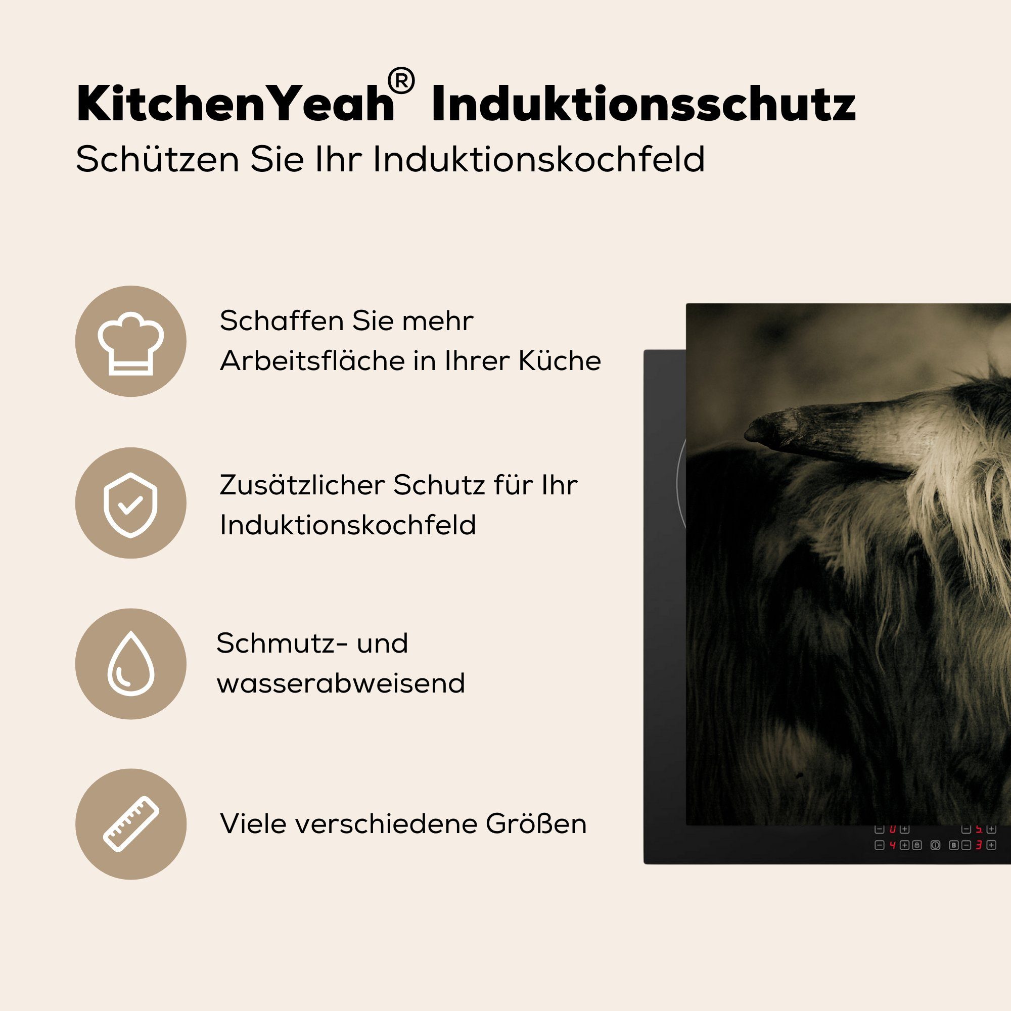 Schutz 81x52 die Schottischer Highlander Herdblende-/Abdeckplatte MuchoWow Vinyl, Ceranfeldabdeckung - küche, für - (1 Haare, Induktionskochfeld cm, Tiere tlg),