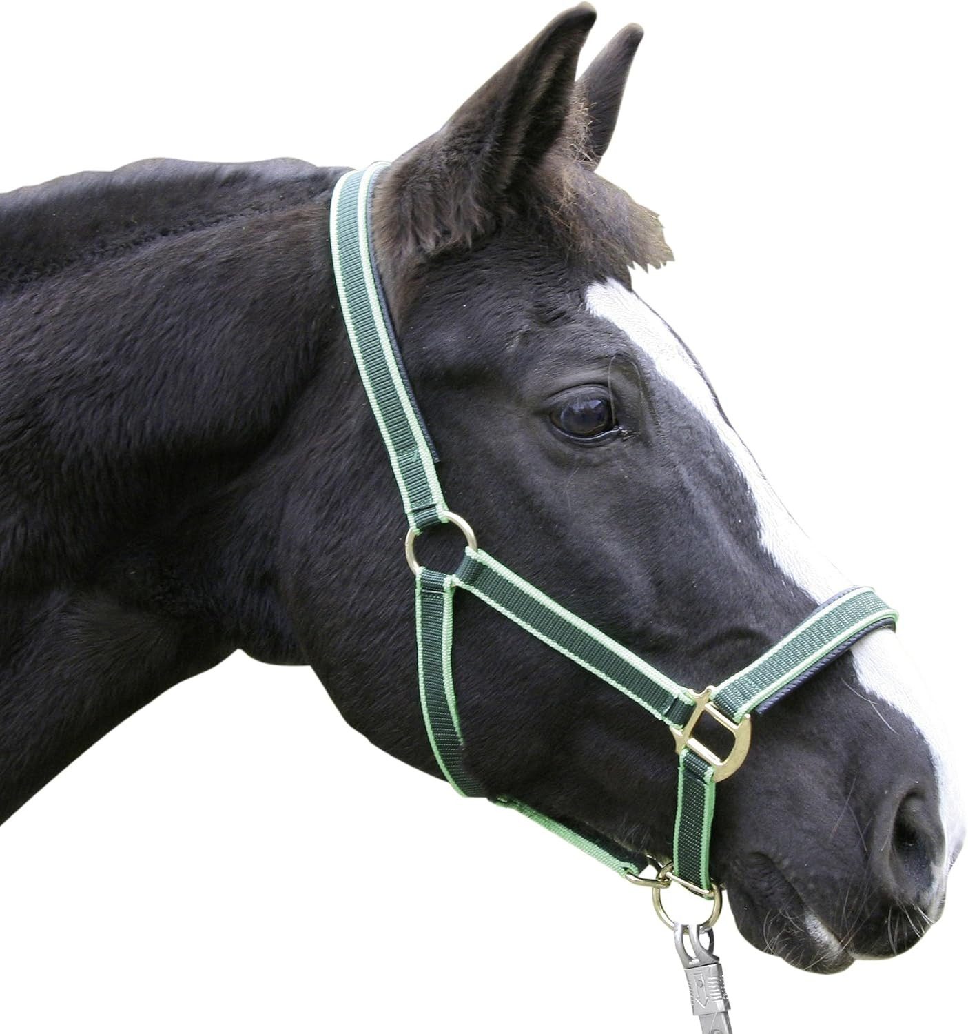 Kerbl Halfter Exklusiv-Halfter mit 2 Dornschnallen, Grün, 1