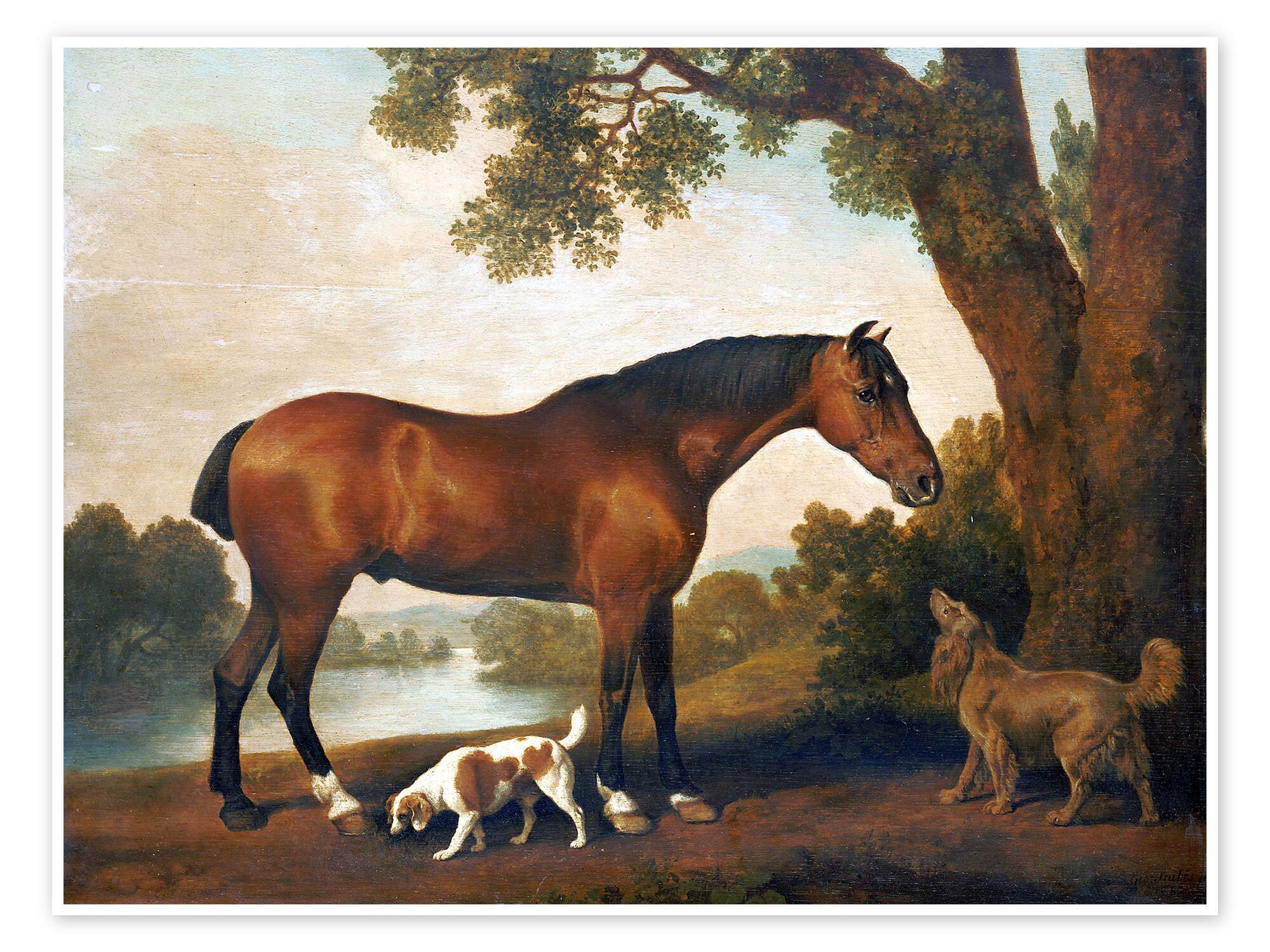 Posterlounge Wandbild Pferd und zwei Hunde, George Stubbs, erhältlich als Poster, Leinwandbild, Wandsticker oder Acrylglasbild