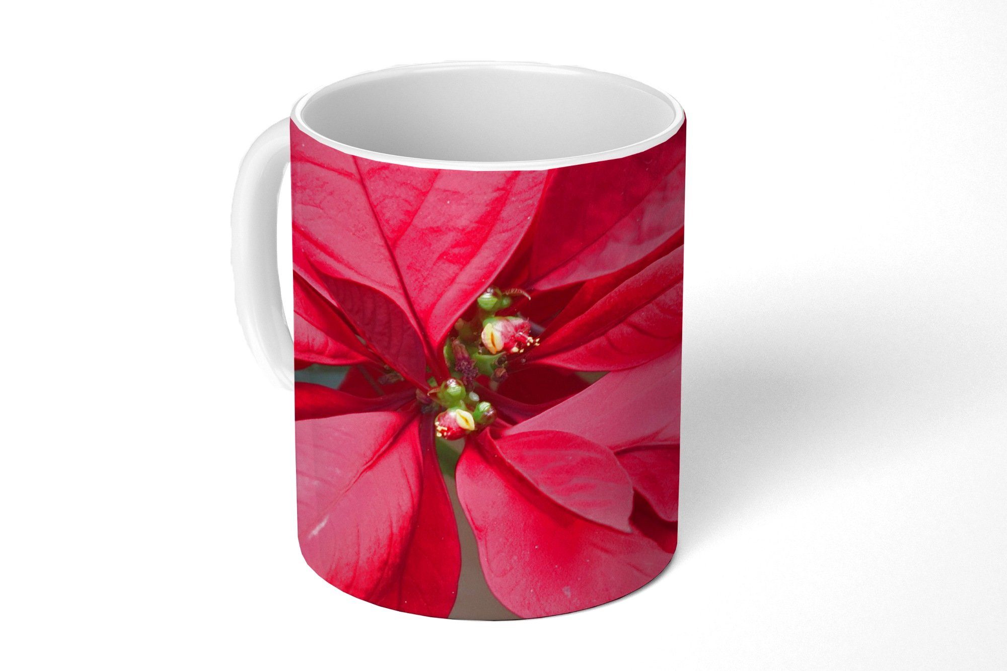 MuchoWow Tasse Weihnachtsstern - Weihnachtsblume, Keramik, Kaffeetassen, Teetasse, Becher, Teetasse, Geschenk