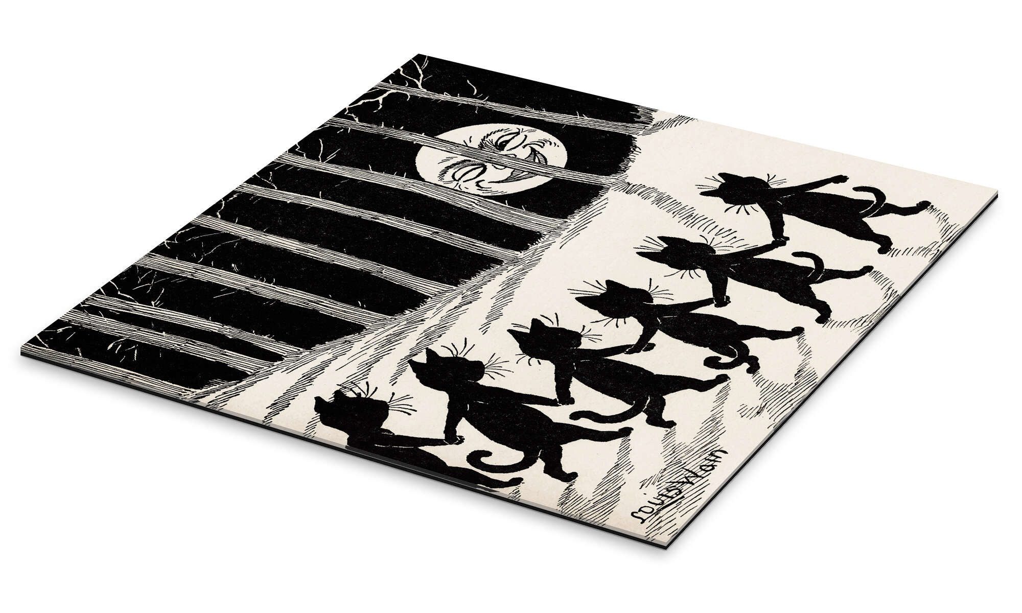 Posterlounge Wandbild Katzen bei Vollmond, Louis günstig online kaufen