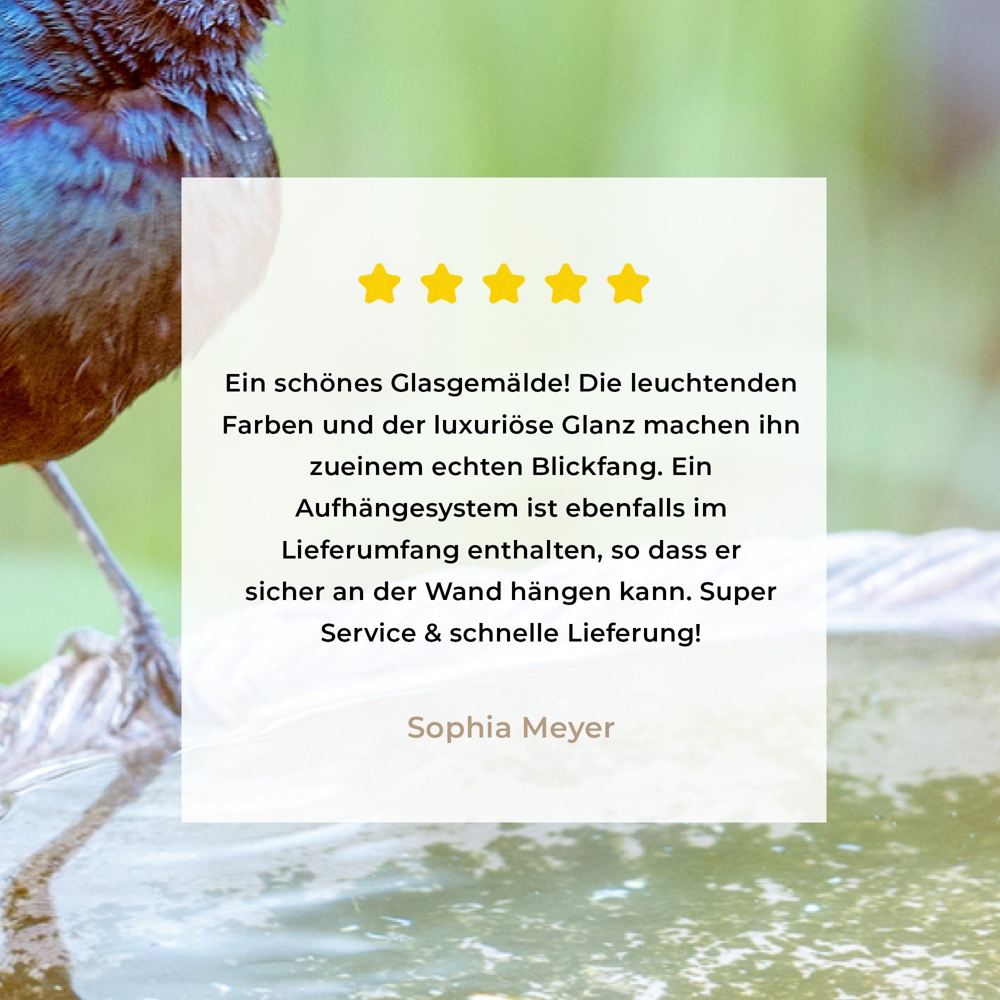 St), MuchoWow Wohnzimmer - (1 Acrylglasbild Vogeltränke Schlafzimmer Amsel - Acrylglasbilder & Wasser,