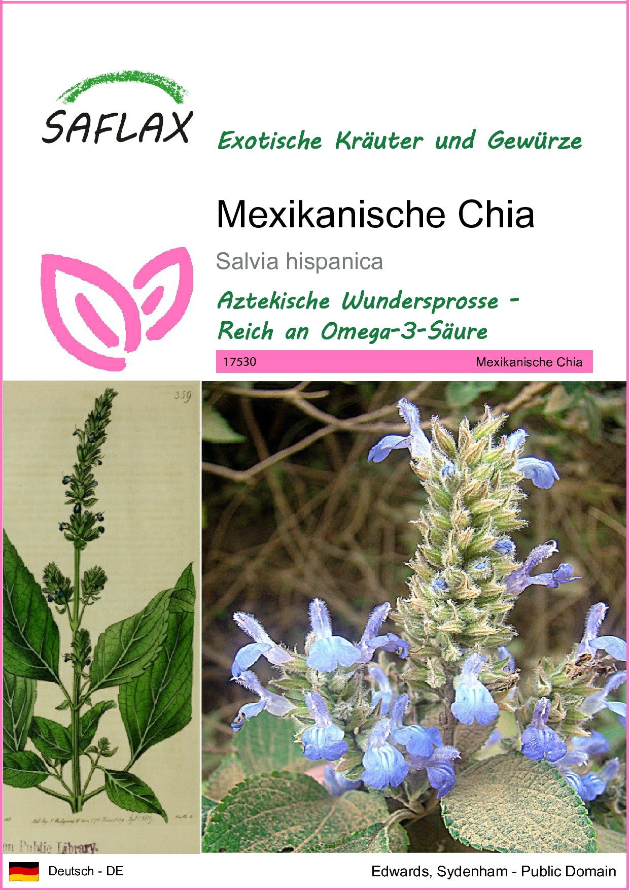 SAFLAX Kräutersamen SAFLAX - Samen - Mexikanische Chia