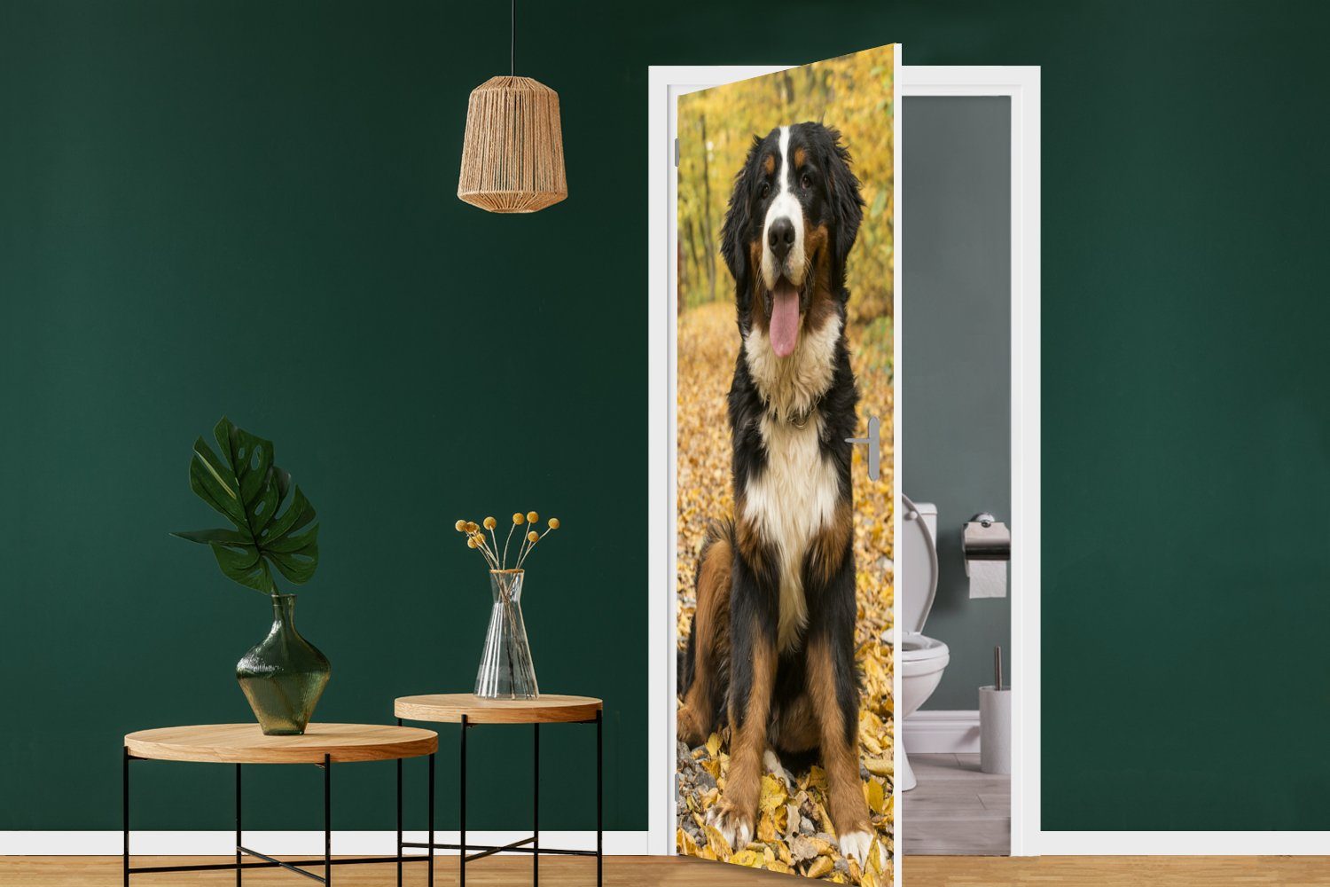 Türaufkleber, Herbstlaub, (1 Matt, Tür, mit cm 75x205 bedruckt, Sennenhund für Fototapete Berner St), MuchoWow schönem Ein Türtapete