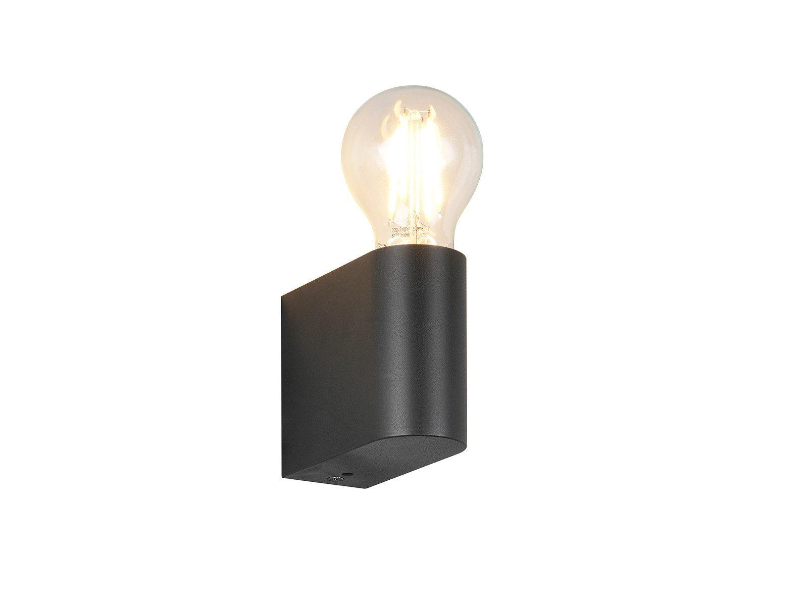 TRIO Leuchten LED Wandleuchte kleine Wand Badlampe, Höhe 8cm, Dimmfunktion, LED wechselbar, Warmweiß, minimalistische Wandlampe für Badezimmer & Keller, inkl. Leuchtmittel