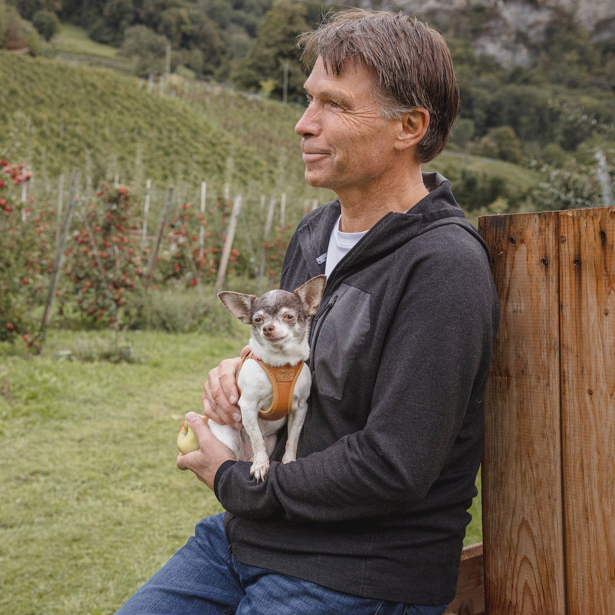 Curli Hunde-Geschirr Apfel Leder Geschirr braun