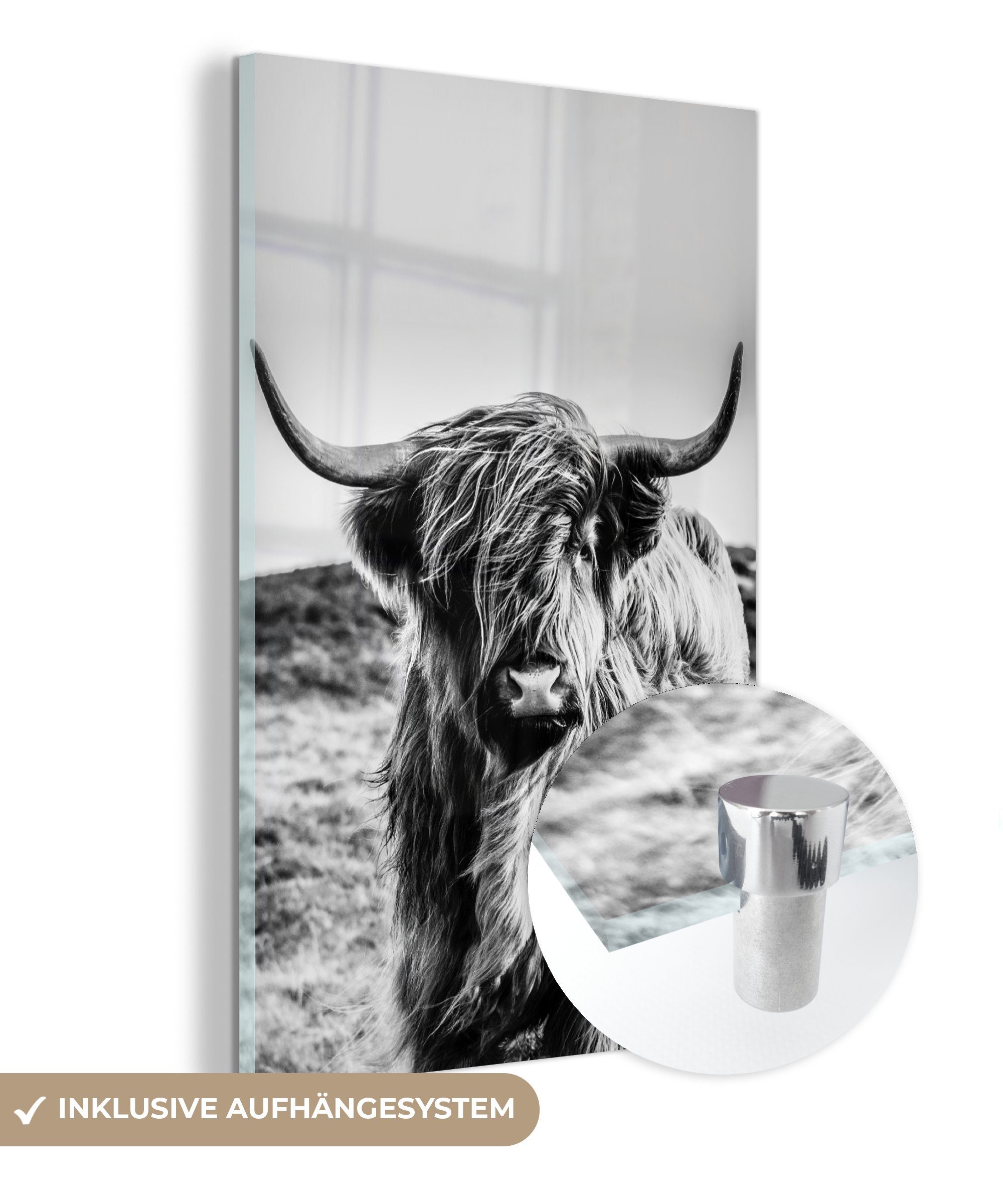 MuchoWow Acrylglasbild Scottish Highlander - Schwarz - Weiß, (1 St), Glasbilder - Bilder auf Glas Wandbild - Foto auf Glas - Wanddekoration