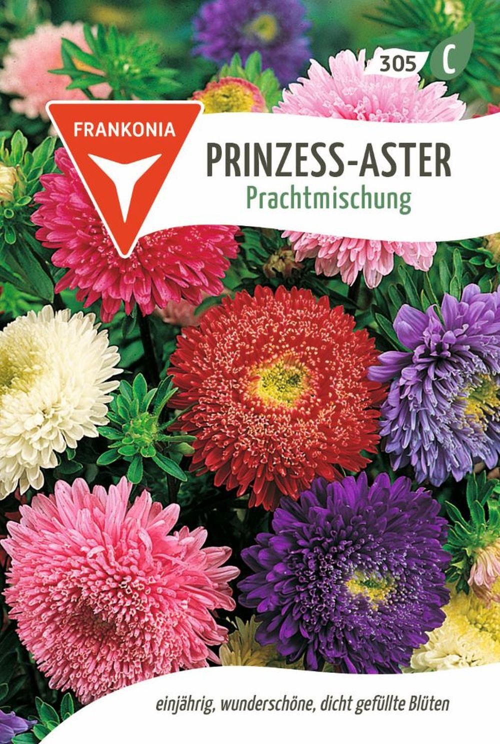 FRANKONIA Blumensamen Prinzess-Aster, Prachtmischung - Astern-Samen Saatgut Samen, Callistephus chinen