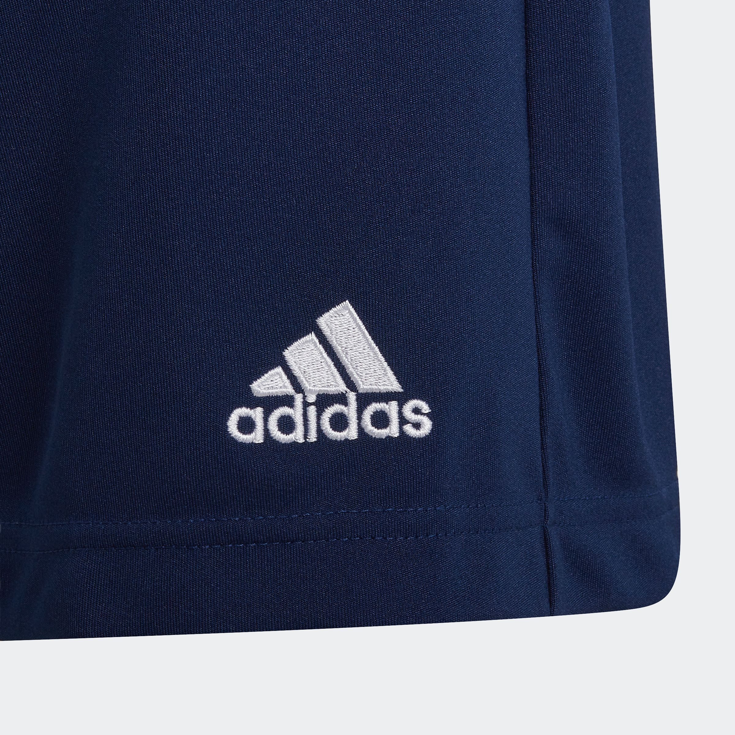 adidas Performance Trainingsshorts ENT22 TR SHOY
