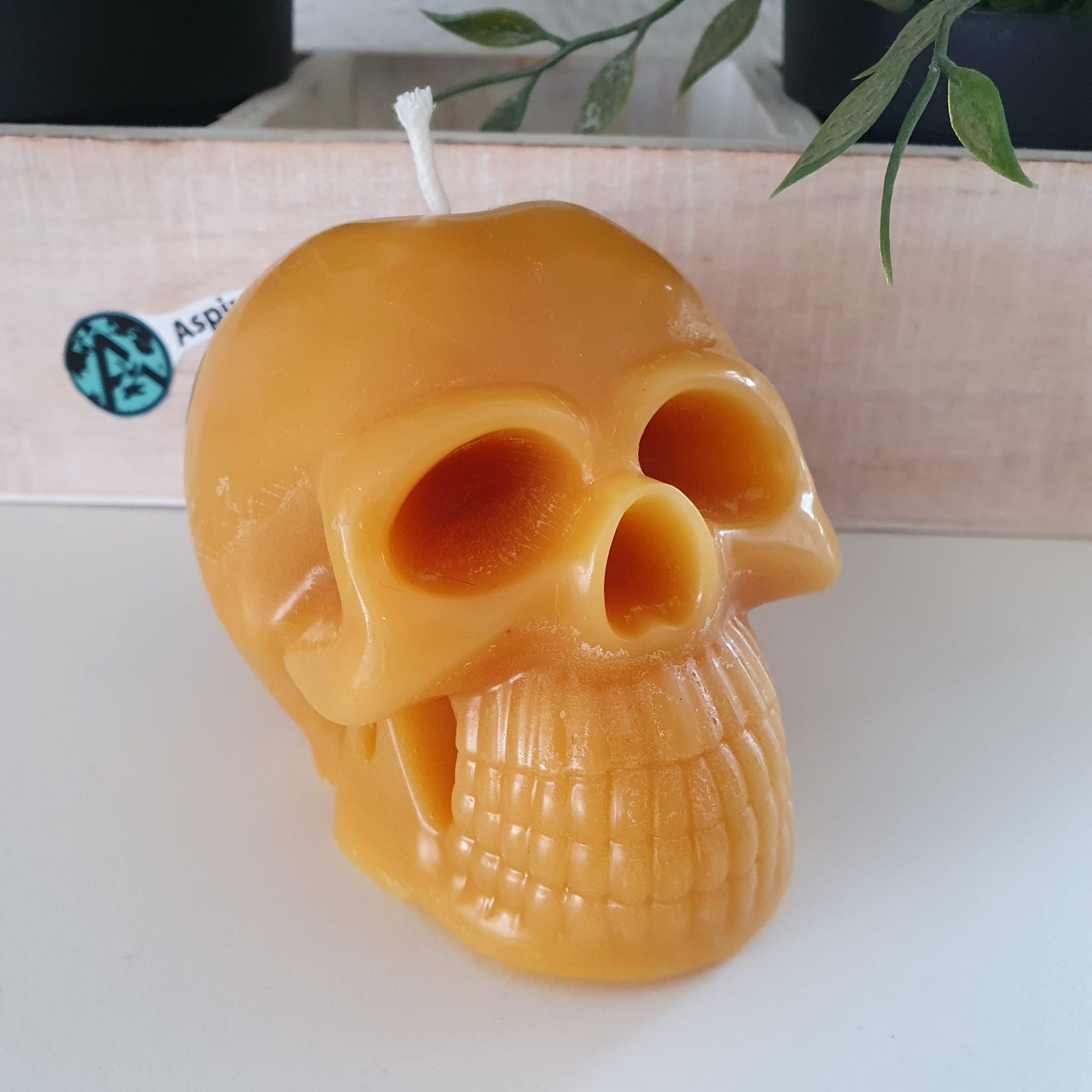 Aspinaworld Bienenwachskerze Totenkopf Kerze 7 cm – Kerze aus Bienenwachs