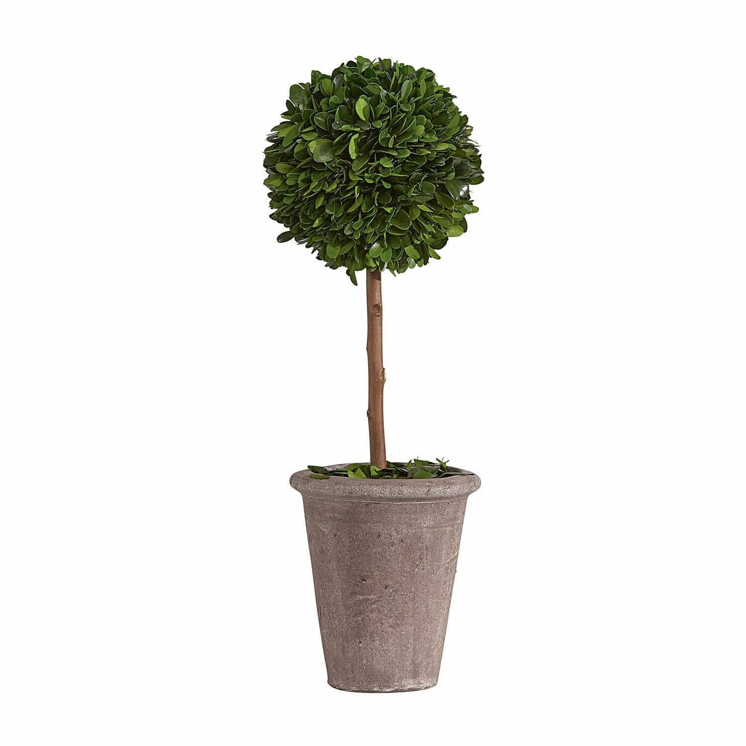 Kunstblume Deko-Baum Aube grün, Mirabeau, Höhe günstig online kaufen