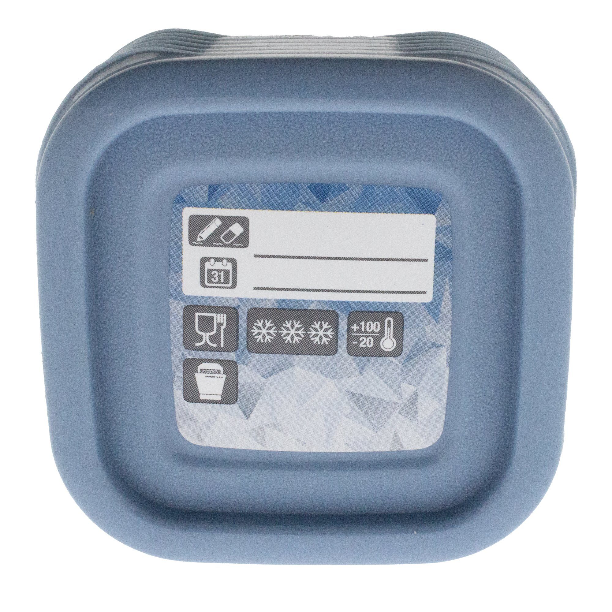 Annastore Frischhaltedose Gefrierdosen zum Einfrieren von -40 °C bis zum Erhitzen auf +95 °C, (BPA-freier Kunststoff, Tiefkühldosen luftdicht, Gefrierdosen luftdicht, 12-tlg), Vorratsdosen zum Einfrieren, Frischhaltedose