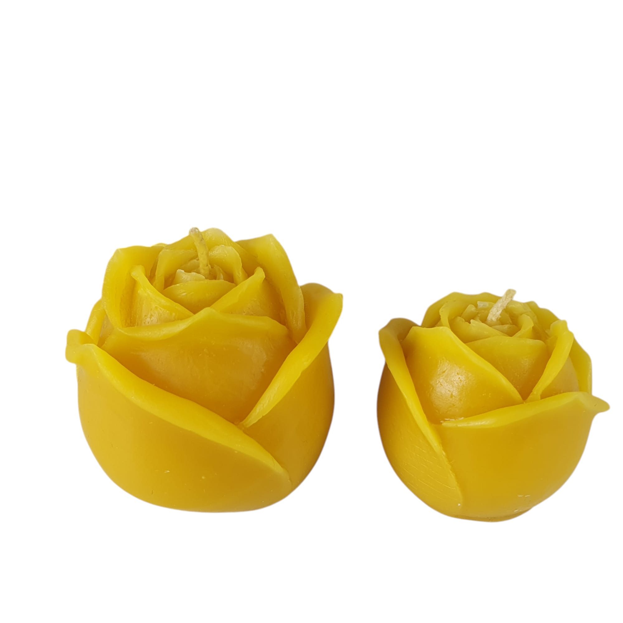 Aspinaworld Formkerze Rosen Kerzen 2er Set 5 cm – Kerzen aus Bienenwachs (2-tlg)