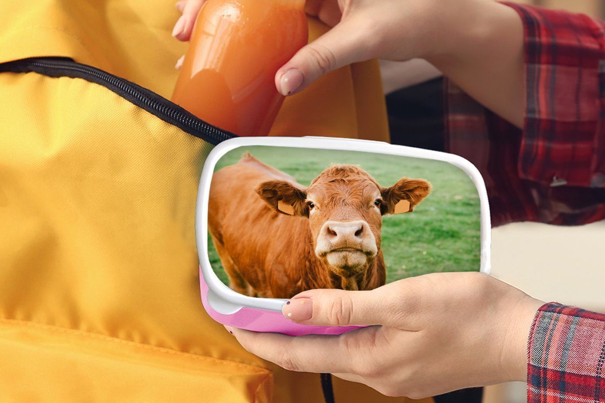 Lunchbox Kunststoff Braun (2-tlg), - Kinder, Kuh rosa Snackbox, Brotdose MuchoWow Gras, für Mädchen, Erwachsene, Kunststoff, Brotbox -