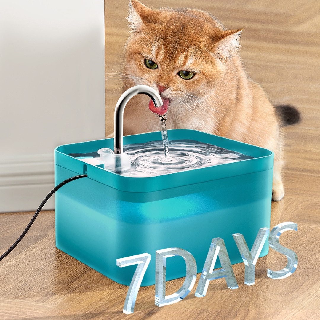 Thumbnail - PUPPY KITTY Trinkbrunnen 2,2L Automatischer Wasserspender Wasserfall für Katze Hunde Grün 2.2 l, mit Aktivkohlefilter un...