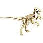 Clementoni® Lernspielzeug »Ausgrabungs-Set Velociraptor«, Bild 2