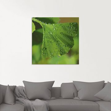 Artland Glasbild Ginkgo, Blätter (1 St), in verschiedenen Größen