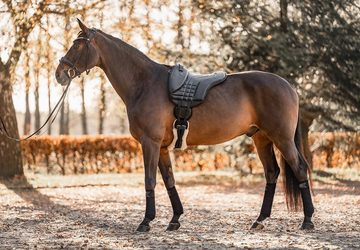 Equinate Wanderreitsattel Reitpad Stella